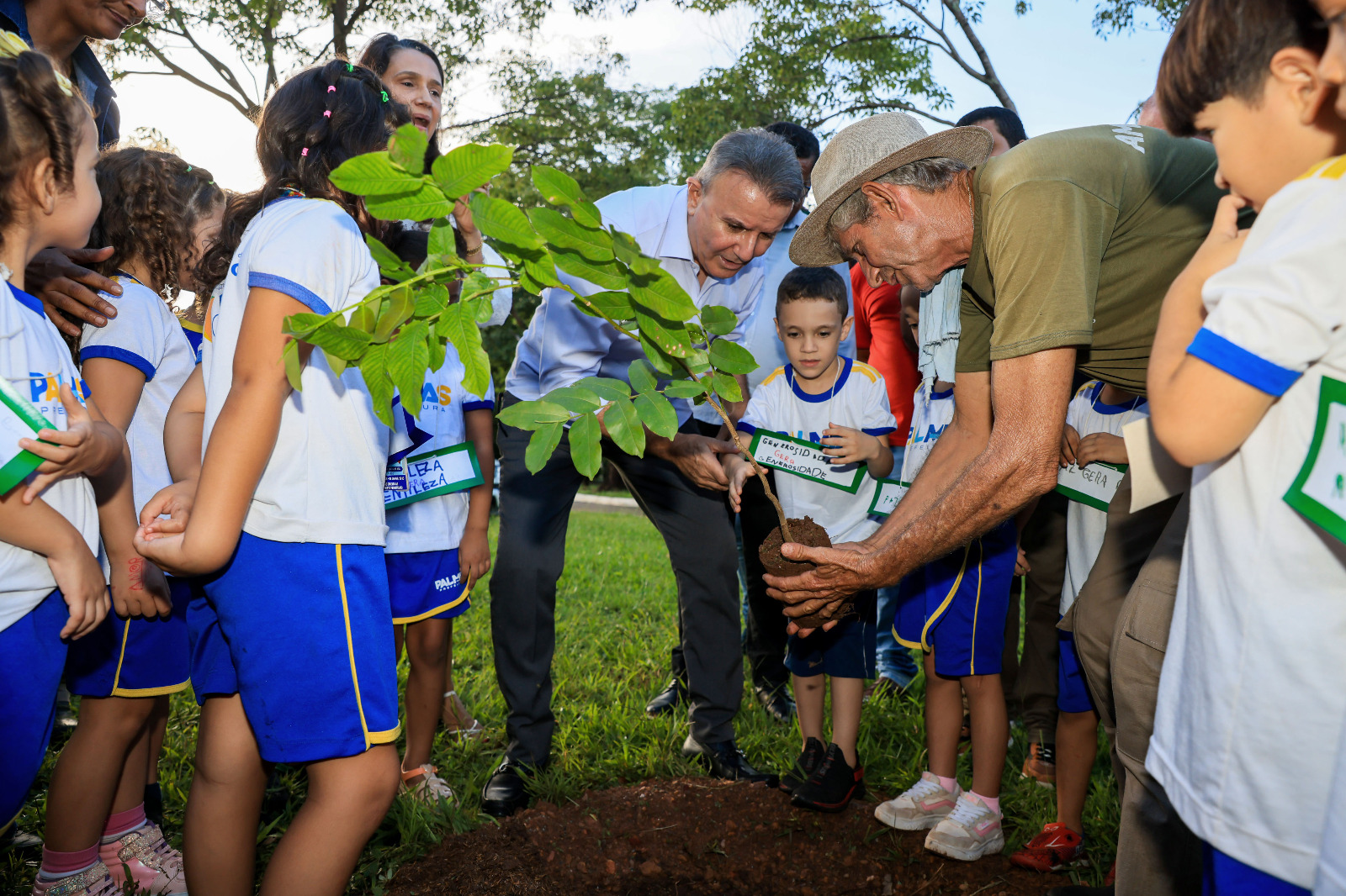 Lançamento Ecobus
