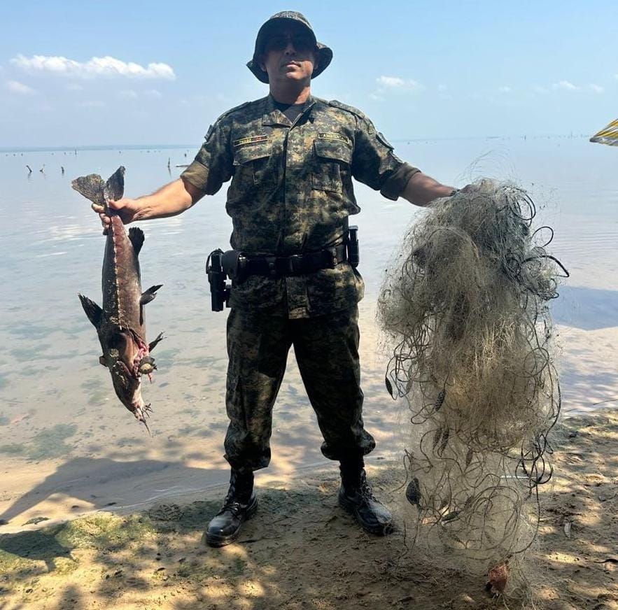 Período da piracema vai de 1º novembro a 28 de fevereiro de 2026