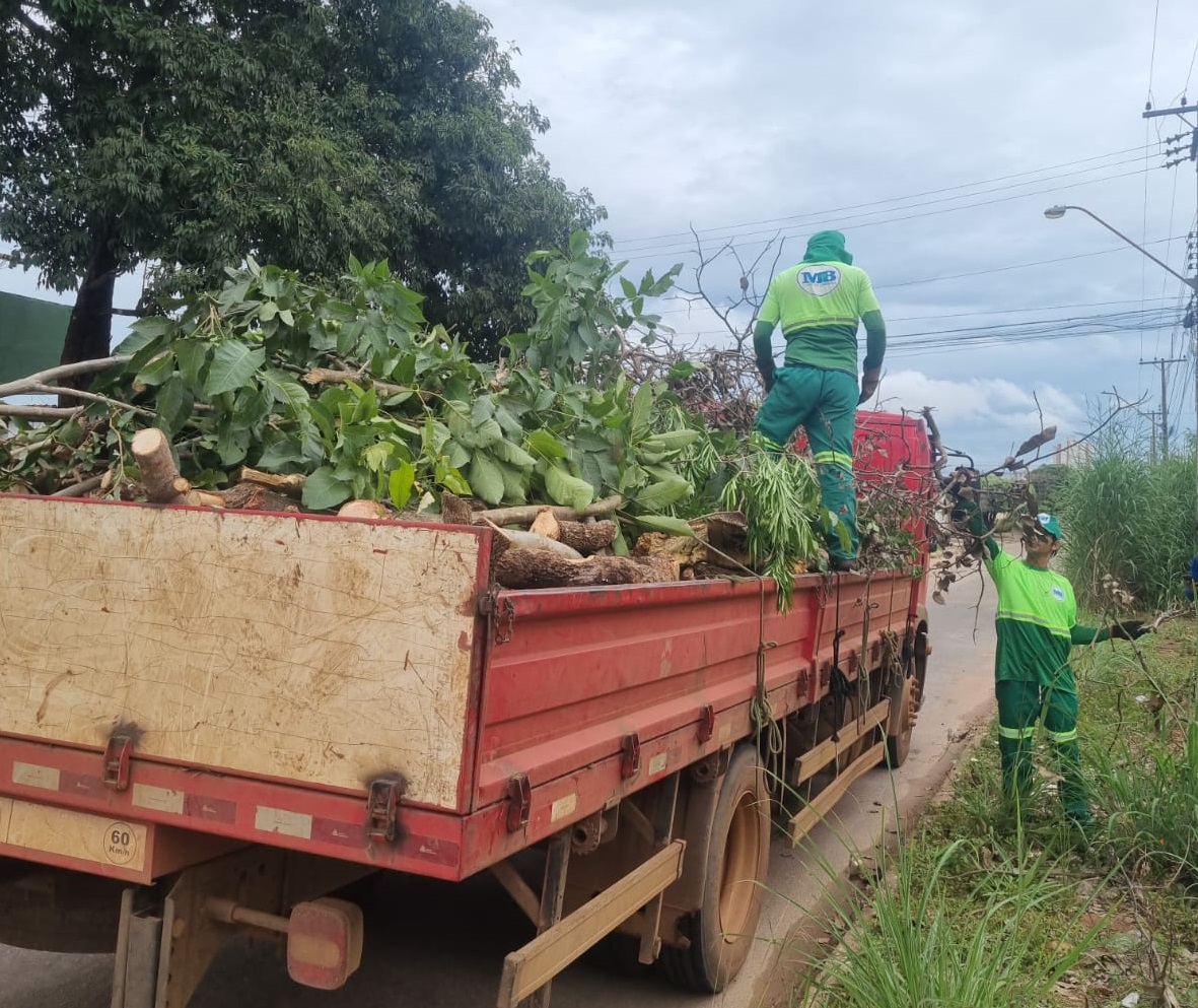Força-tarefa da Prefeitura de Palmas para reforçar recolhimento de galhadas inicia nesta quarta, 25