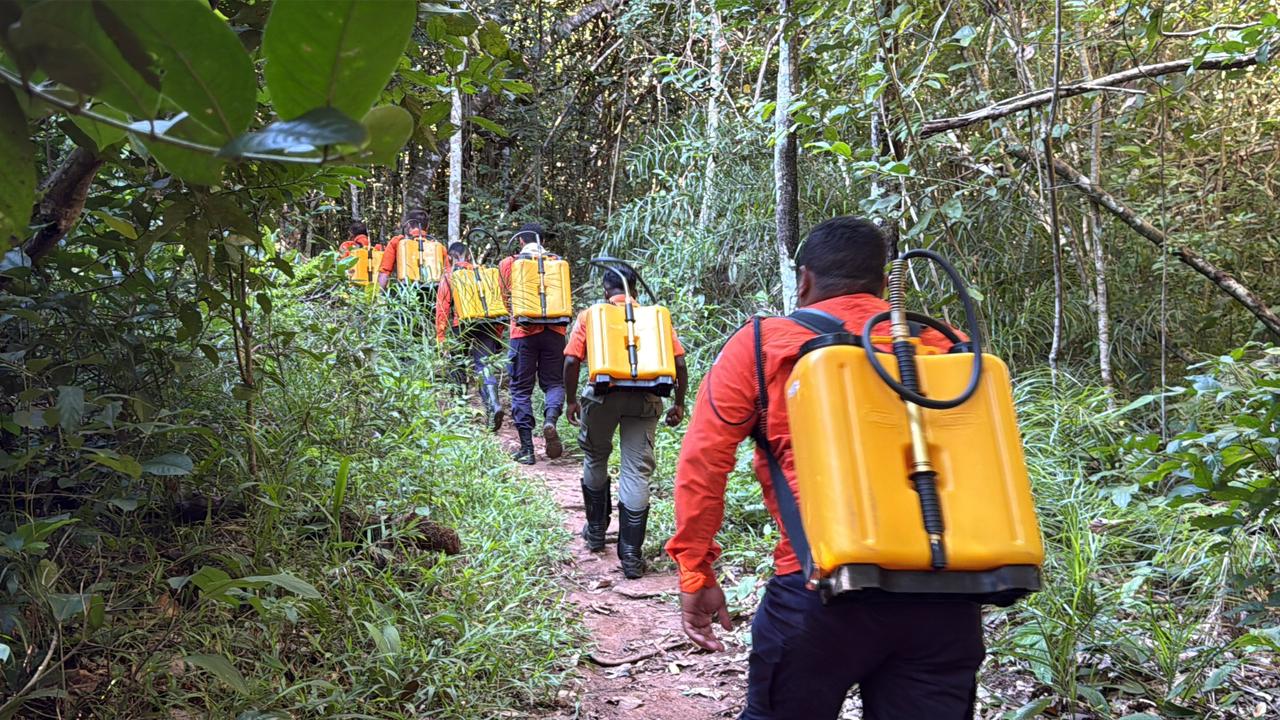 Defesa Civil de Palmas realiza treinamento prático para combate a incêndios florestais em Palmas