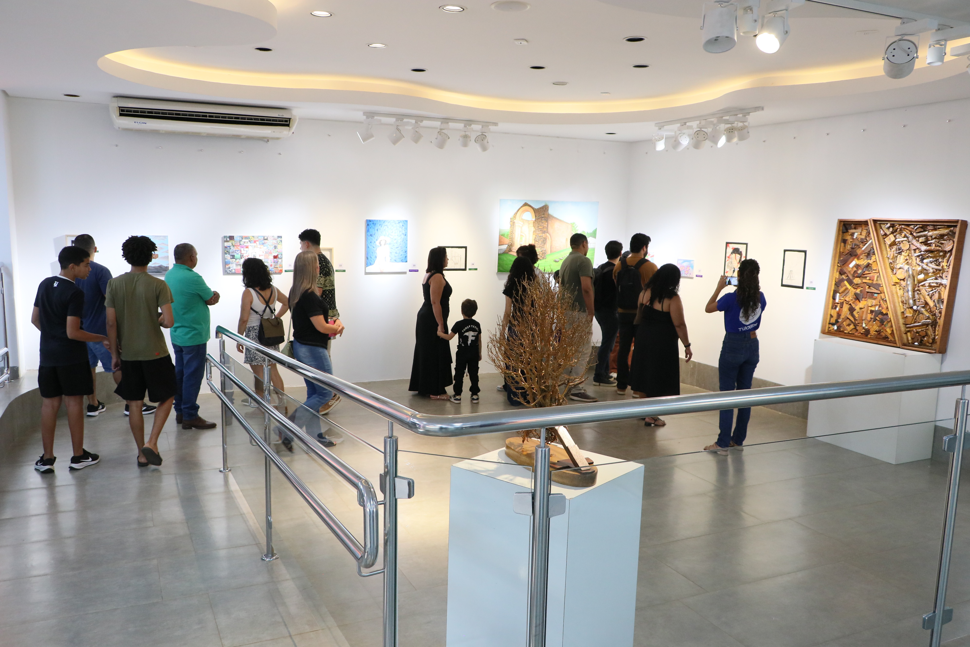 Concorrem aos prêmios artes visuais das seguintes áreas: aquarela, arte digital, colagem,  desenho,  escultura, gravura, pintura em tela ou técnicas mistas