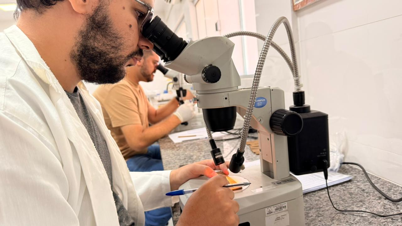 Monitoramento e armadilha para capturar o Aedes aegypti antecipa combate à dengue na Capital