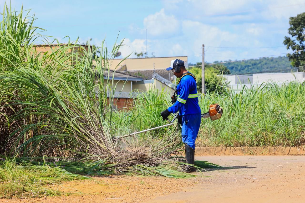 Prefeitura de Palmas realiza roçagem em 14 bairros em uma única semana