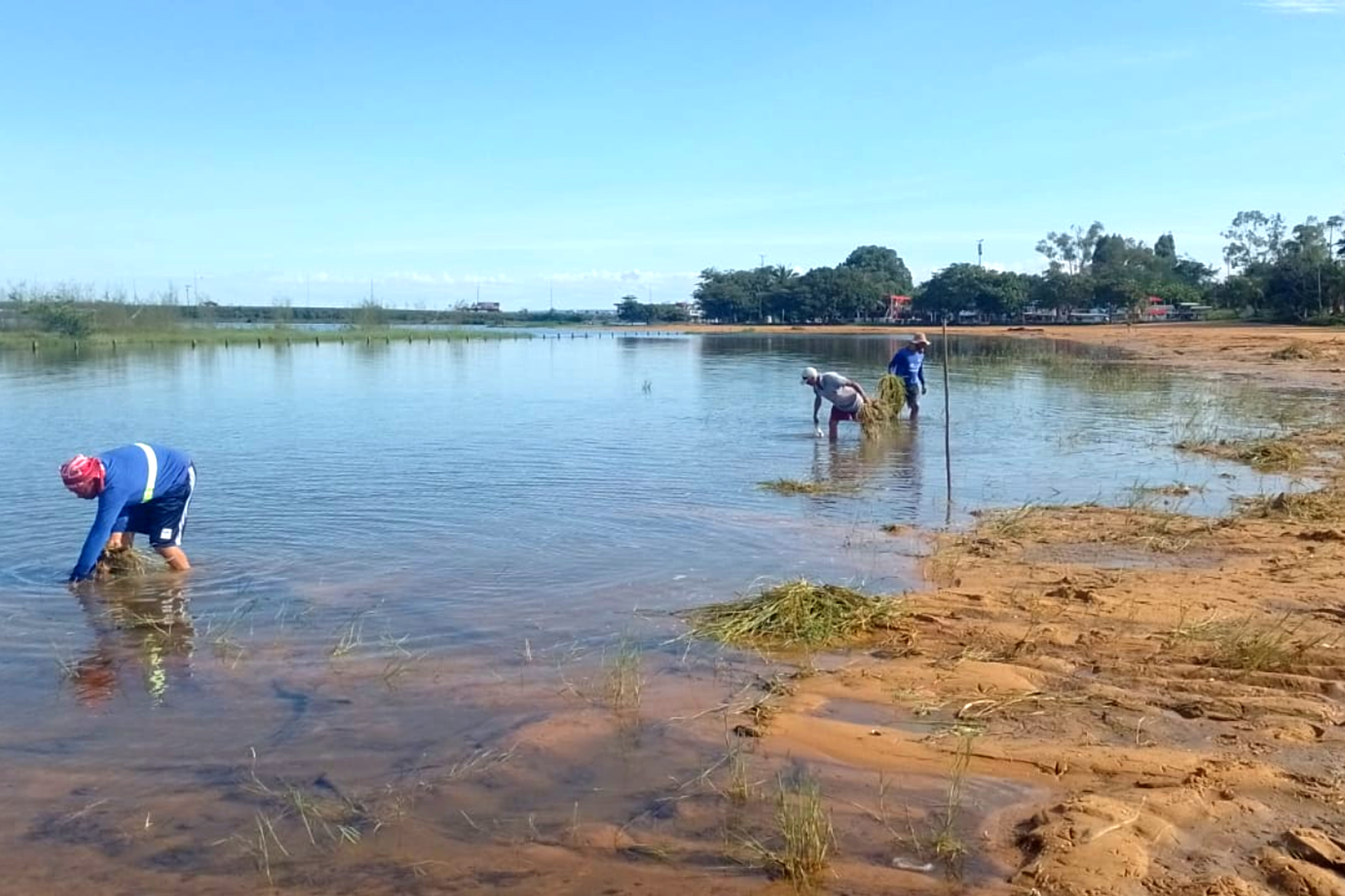 Prefeitura de Palmas realiza controle de vegetação na Praia da Graciosa
