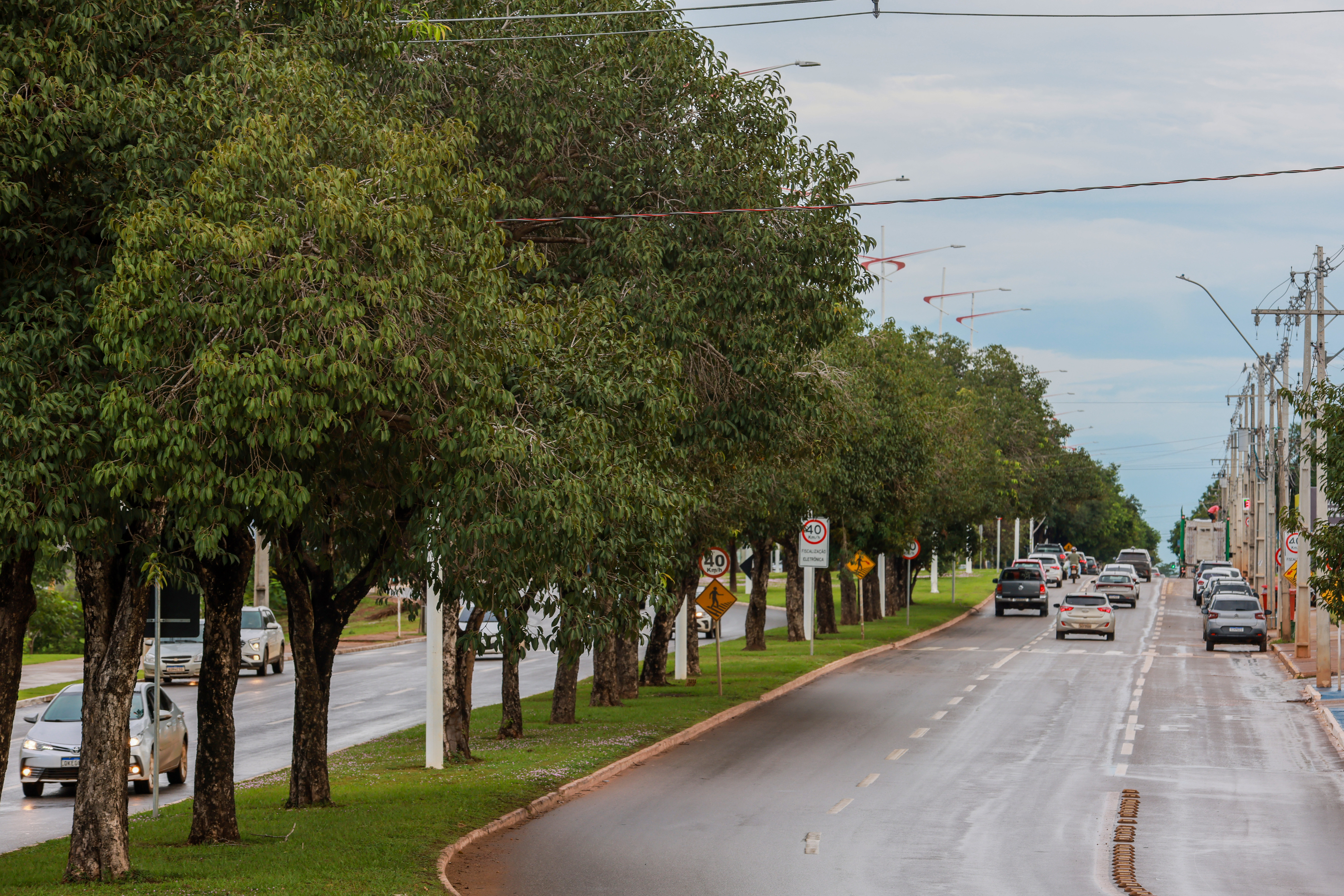 Avenida NS-1 - região Central de Palmas - Lia Mara 032