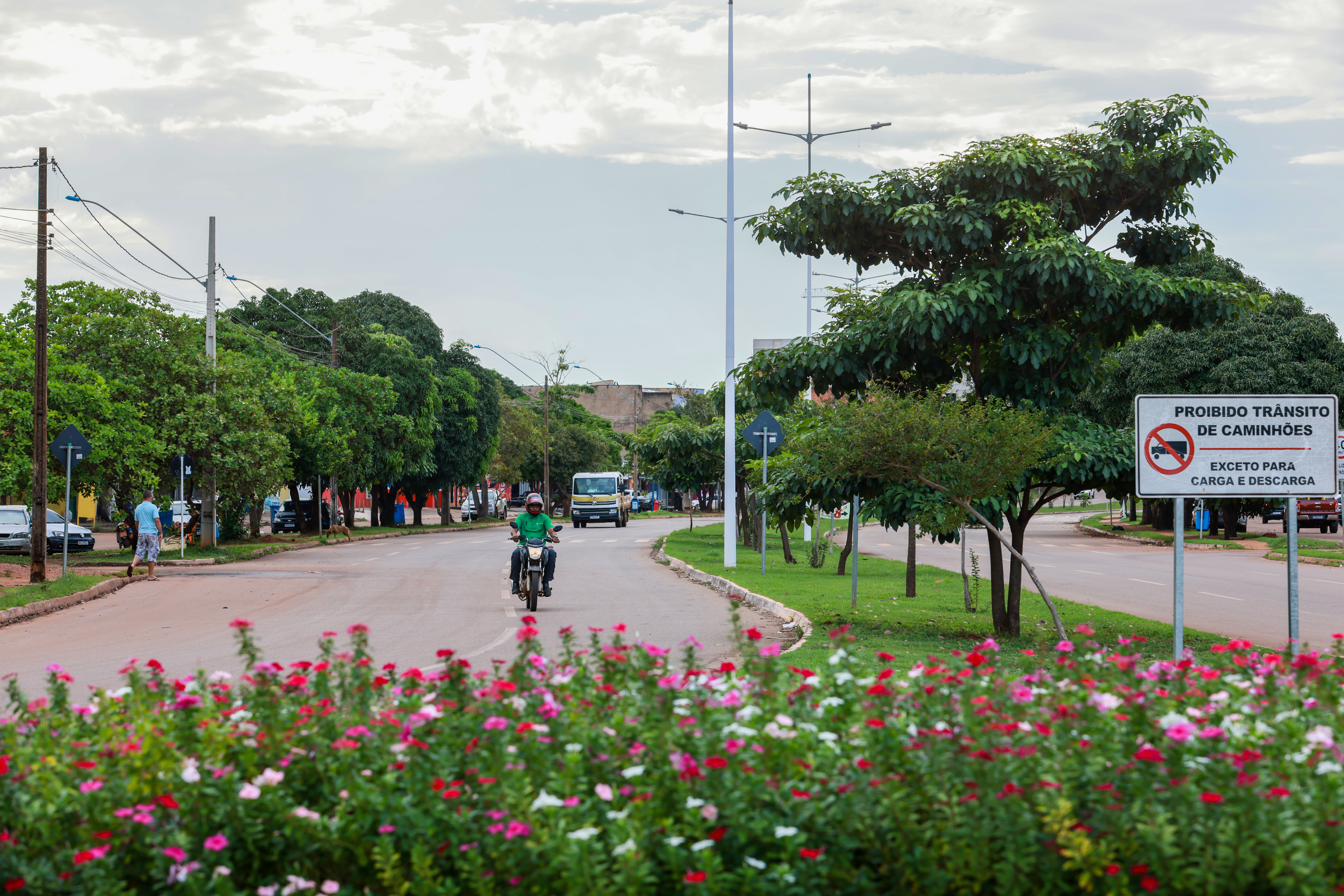 Avenida Palmas Brasil Norte - Lia Mara 039