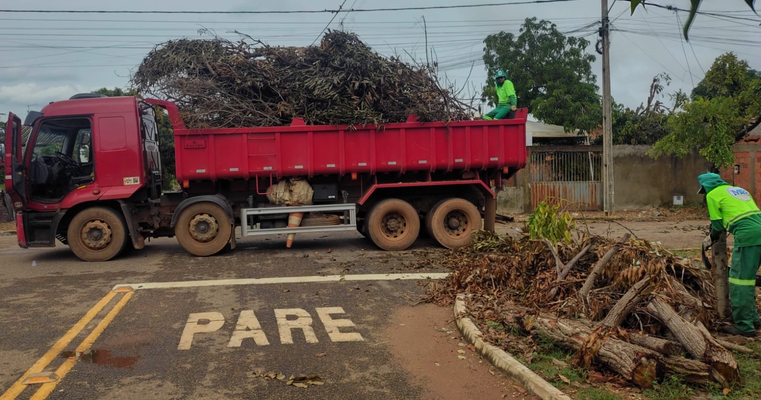 Prefeitura de Palmas pede colaboração da população para organização das podas de árvores
