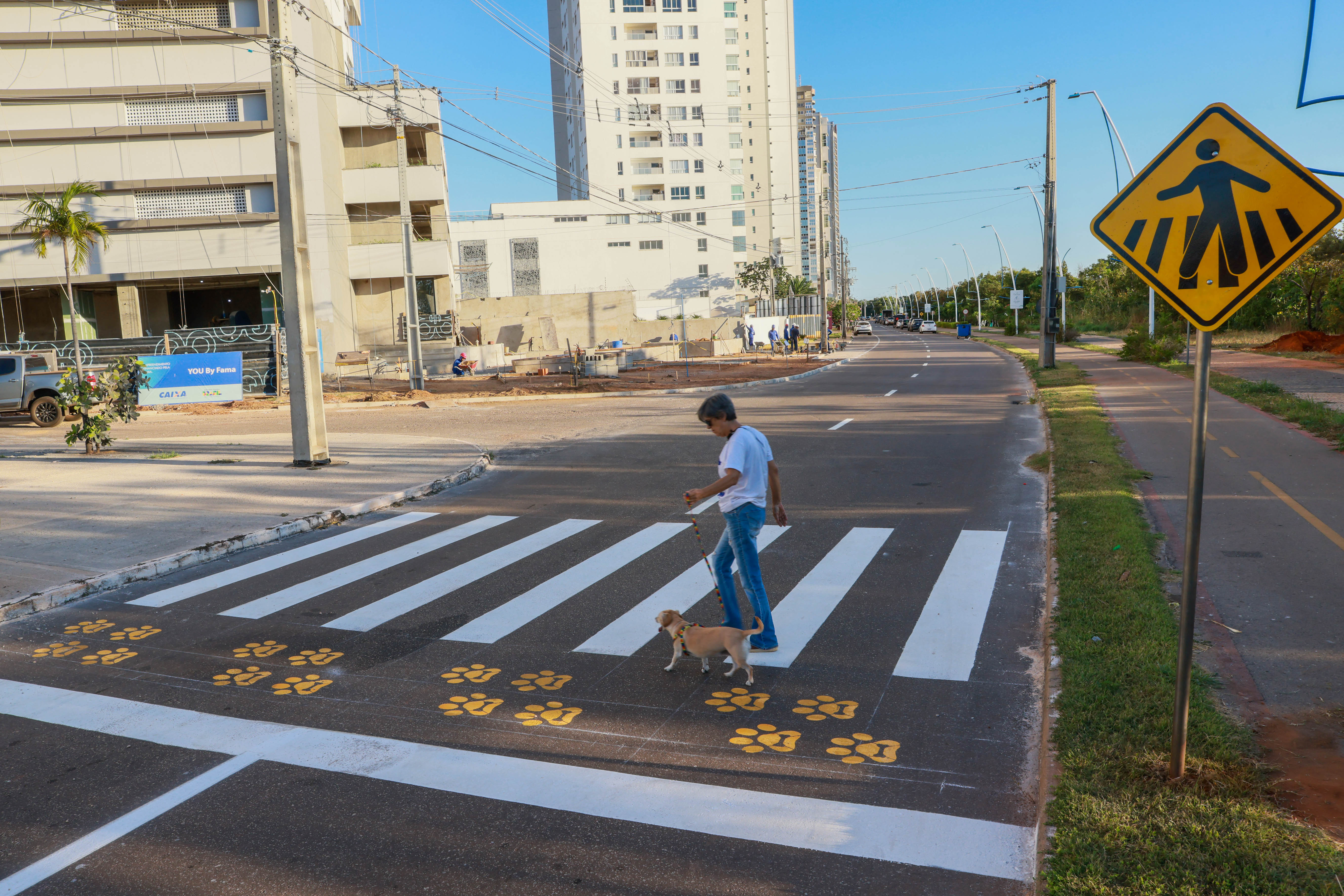 PataDestre faixa travessia de animais - Foro Lia Mara  (33)