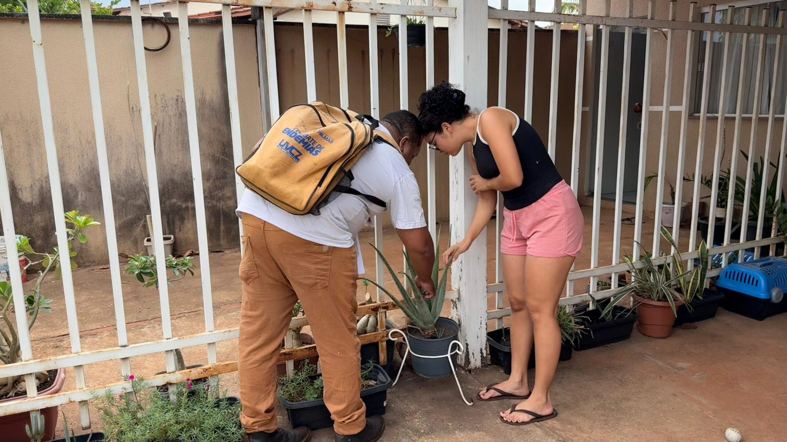 Saúde de Palmas inicia campanha Vetor Zero para combater Aedes aegypti