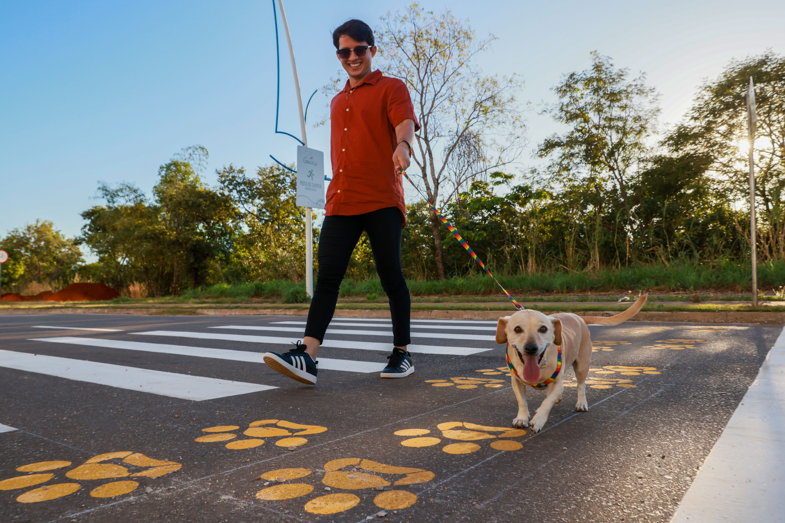 Ação também será uma oportunidade para reforçar junto à população a importância da adoção responsável de animais