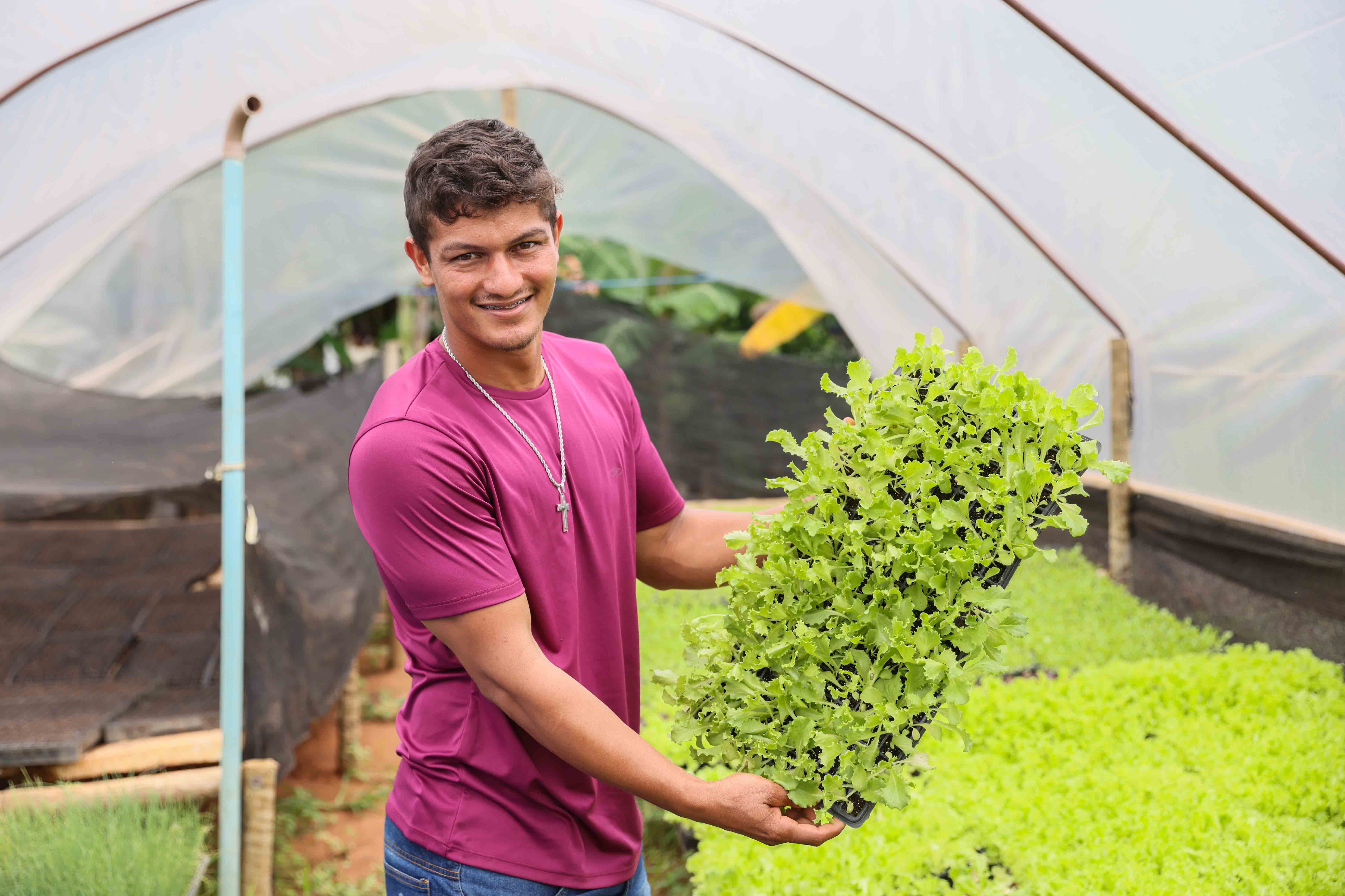 Gradagem de terra impulsiona produção de agricultores do cinturão verde da Capital