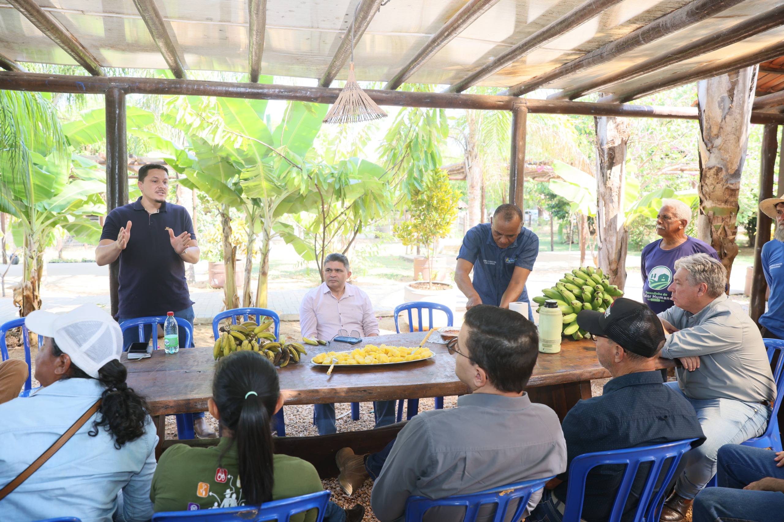 Técnico parceiro da Embrapa, engenheiro Washington Martins, fala sobre cultivo da maniva