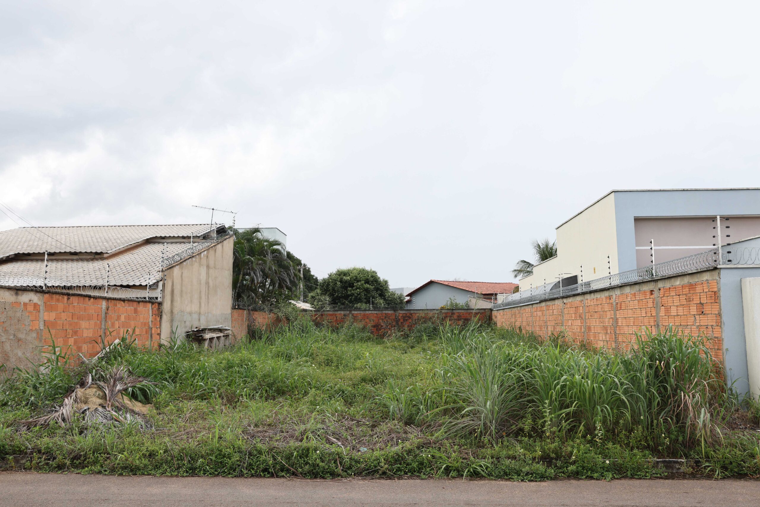 Proprietários serão notificados para limpeza e manutenção de terrenos e calçadas