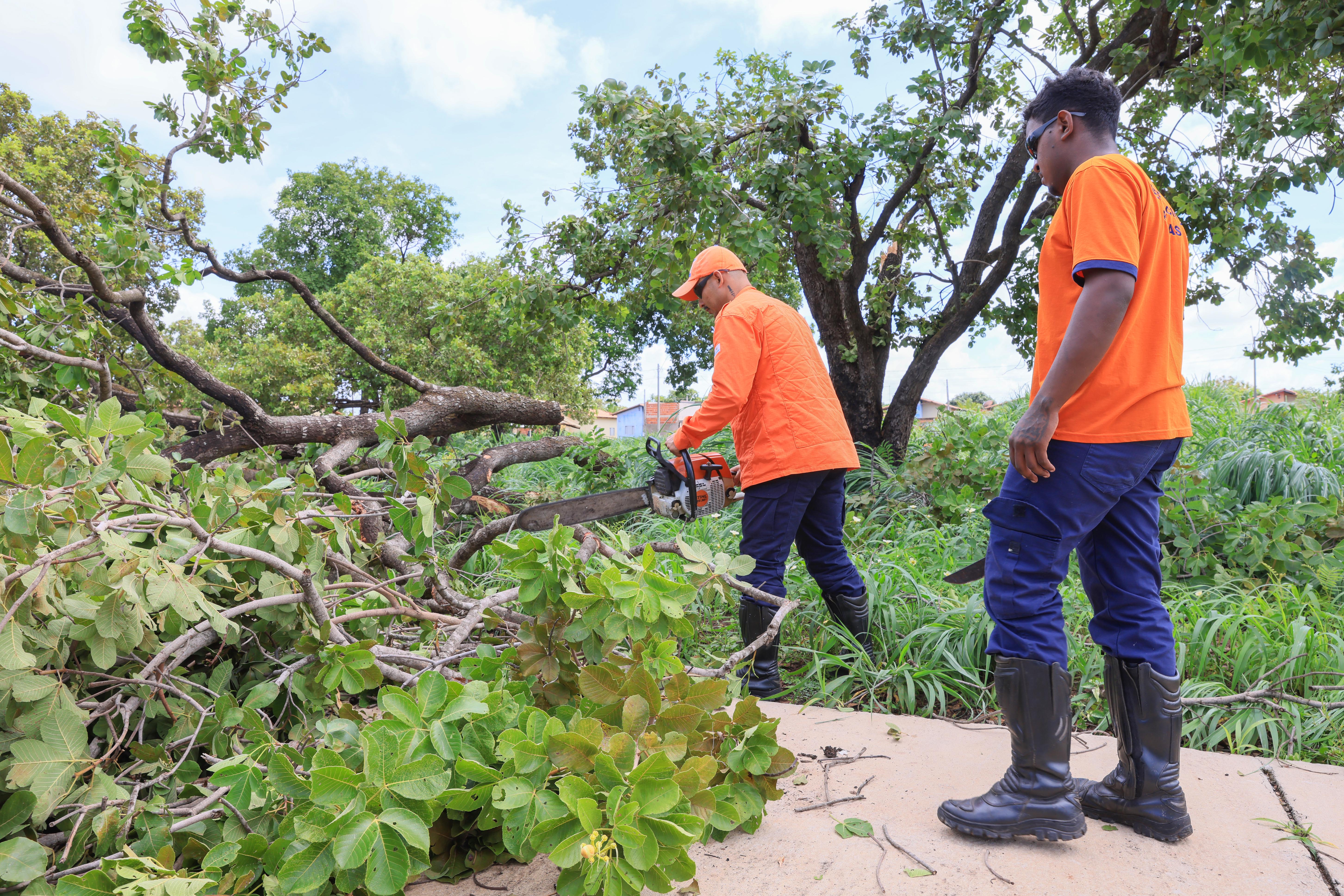 Equipe da Defesa Civil de Palmas faz a retirada de árvores que caíram durante vendaval no Jardim Taquari