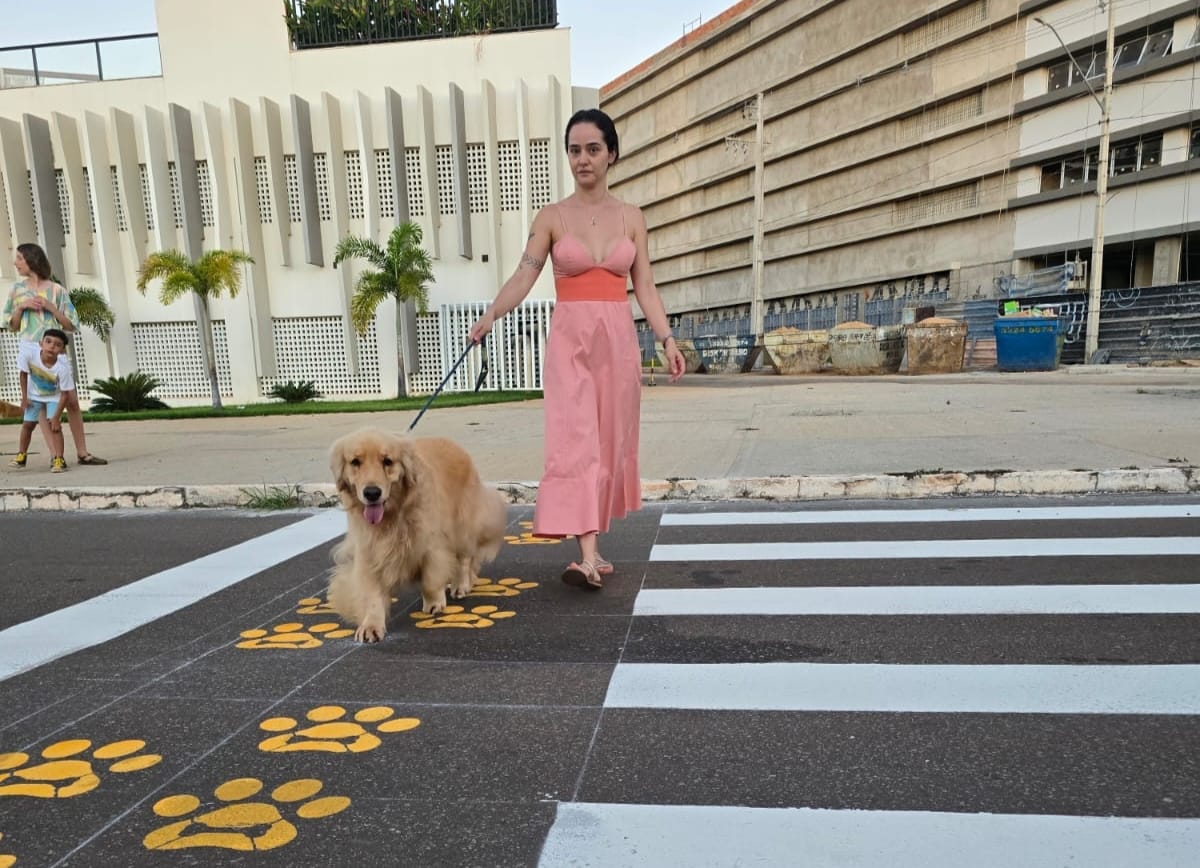 Com marcas de patinhas amarelas ao lado da faixa de pedestres, a sinalização já virou atração entre os frequentadores da Avenida Orla