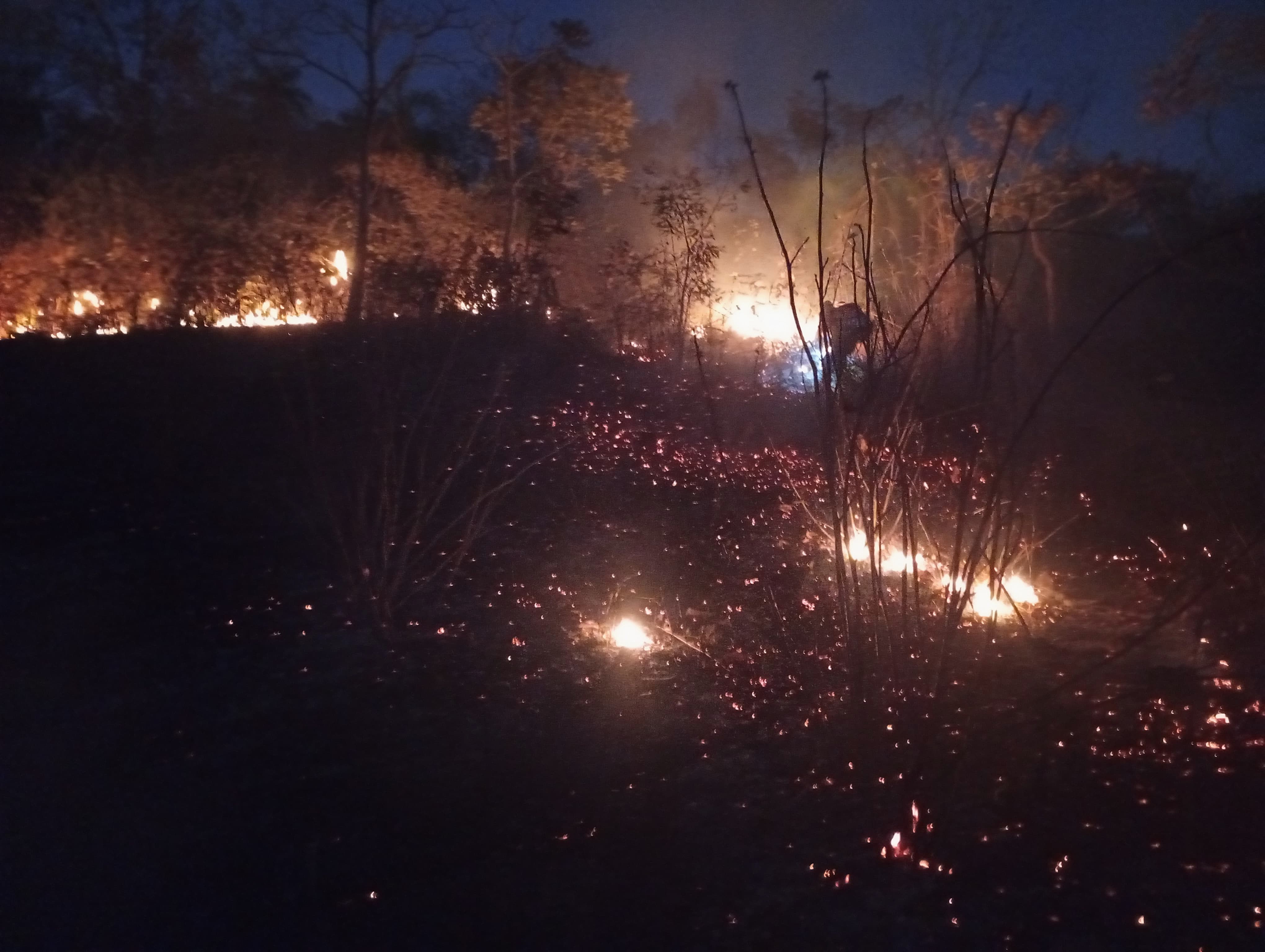 Equipes em combate a Incêndio a serra, em Taquaruçu