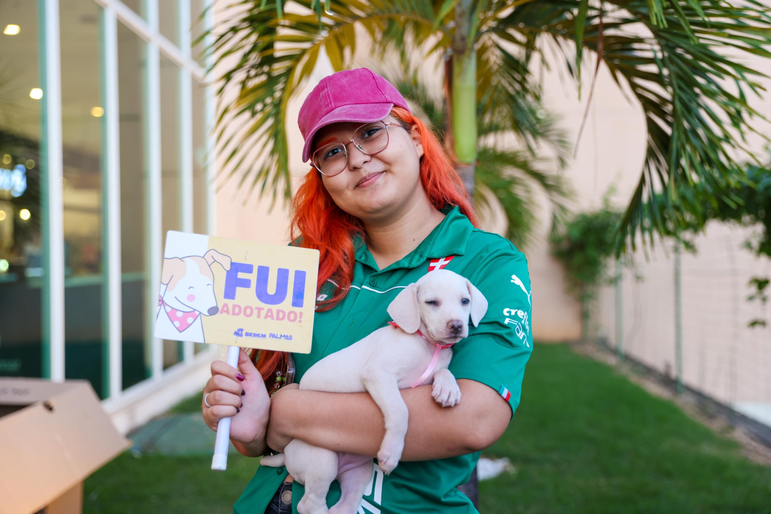 Prefeitura de Palmas realiza evento de adoção de cães e gatos na Avenida JK, nesta quarta-feira, 12