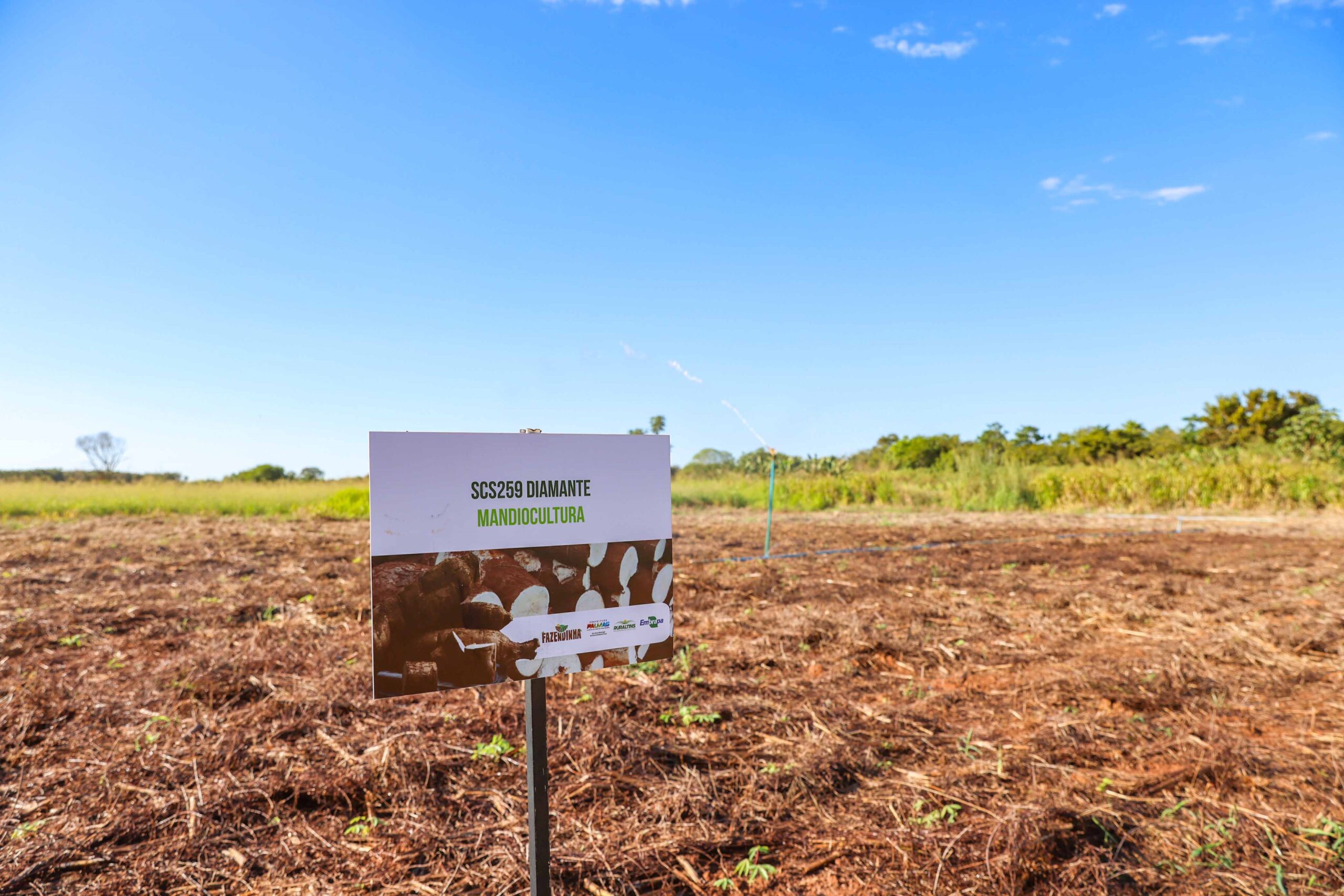 Fazendinha do Calor Humano segue aberta aos pequenos produtores mesmo com o fim da Agrotins 2024