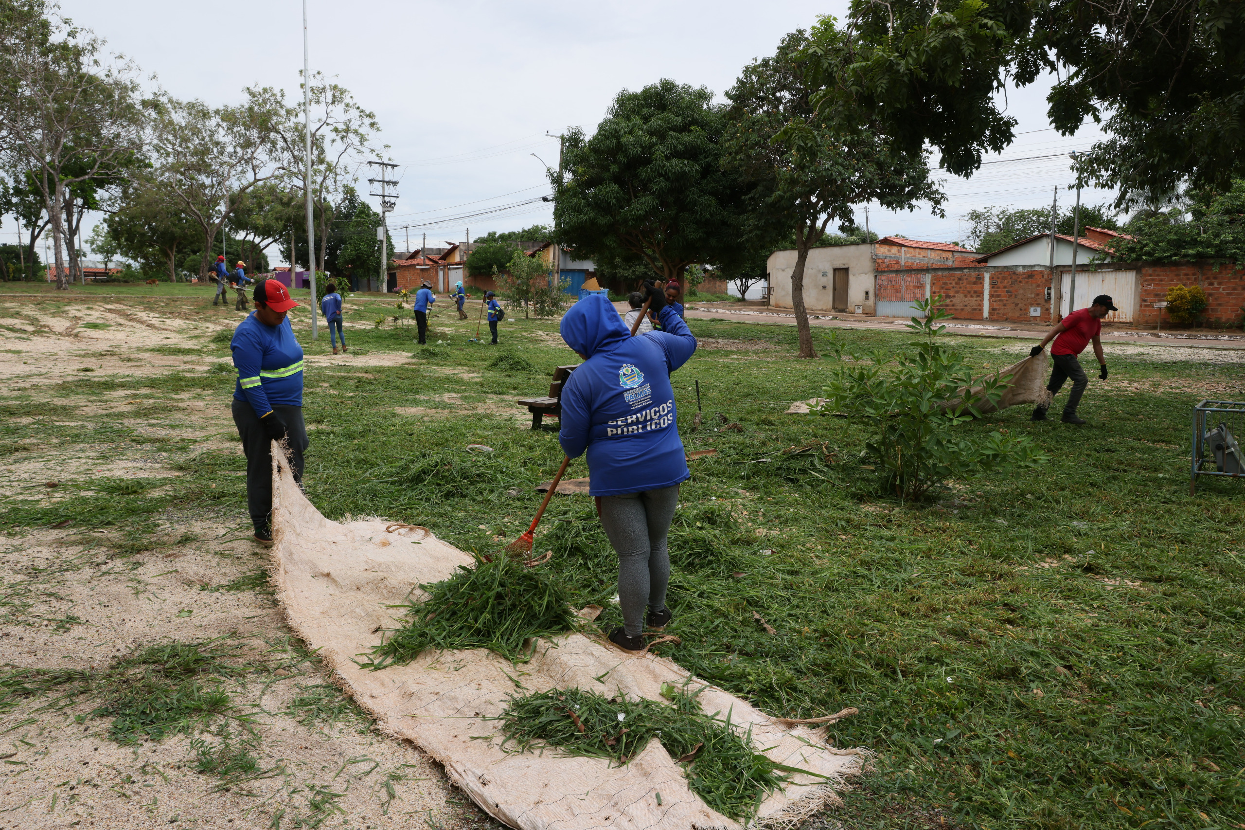 Recolhimento da vegetação com auxílio de rastelo