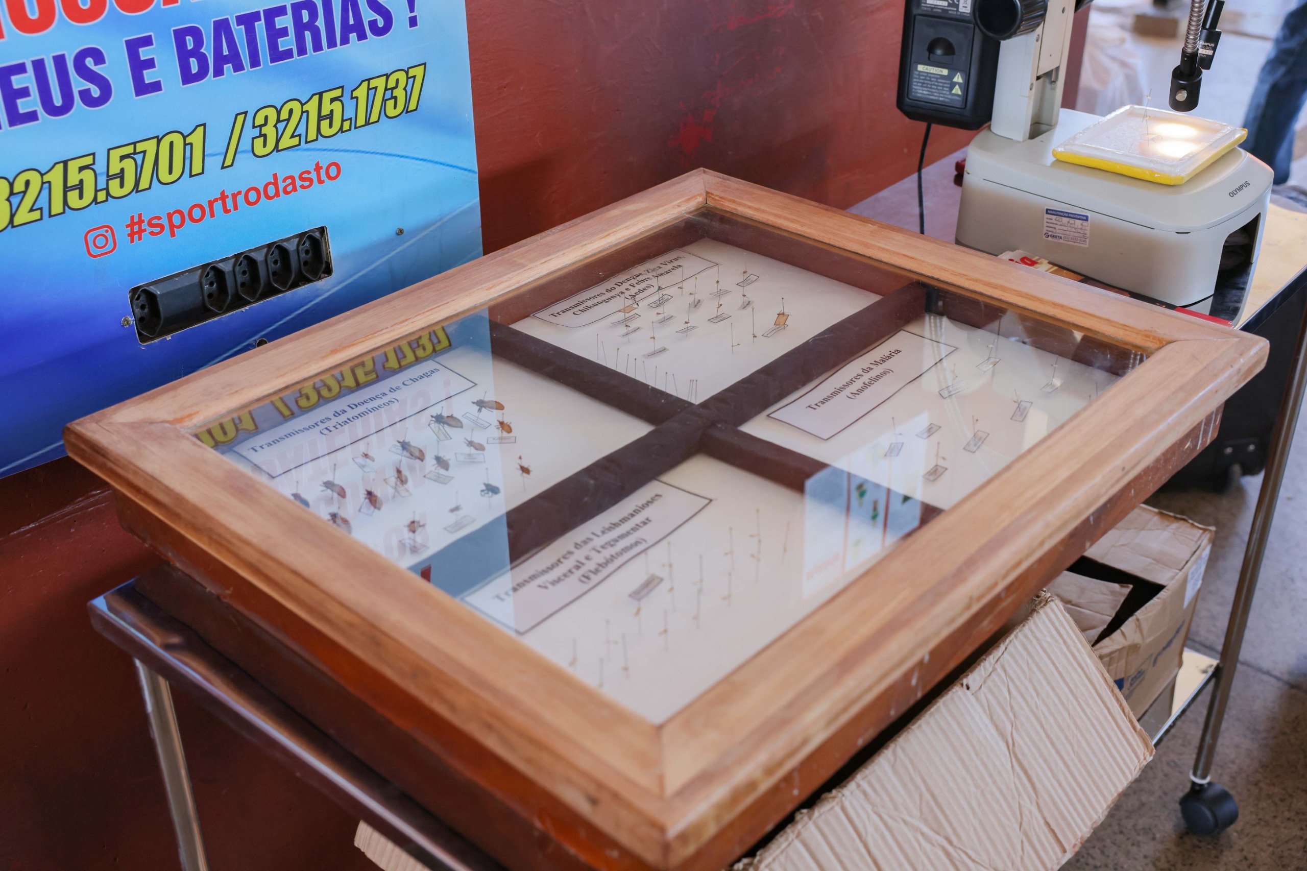 Ação contou com exposição entomológica (exibição de insetos) sobre malária, doença de Chagas, dengue e outras arboviroses - Foto: Francisco Barros/Secom