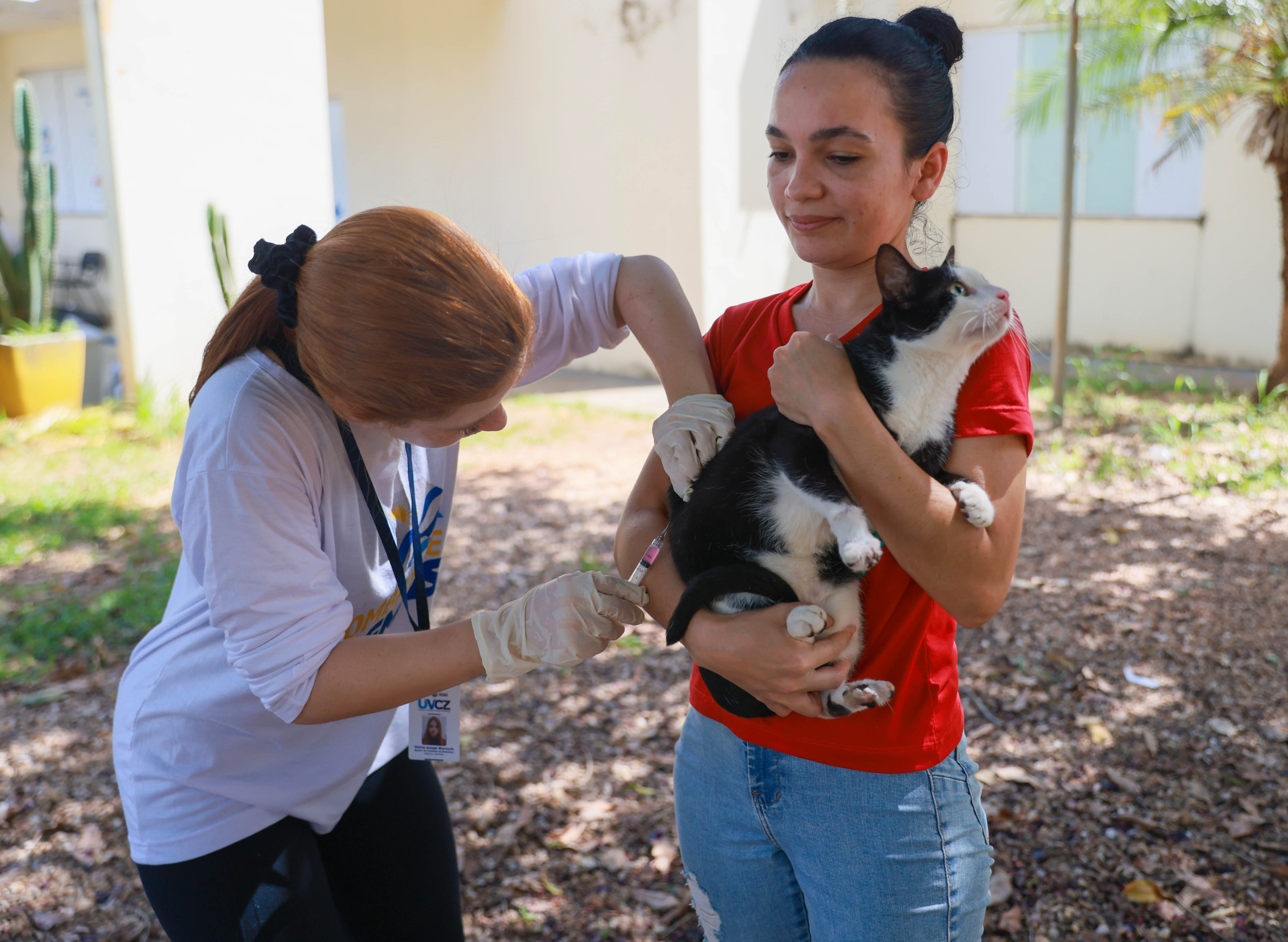 Vacinação antirrábica dos cães e gatos deve ser feita em um intervalo de 12 meses


