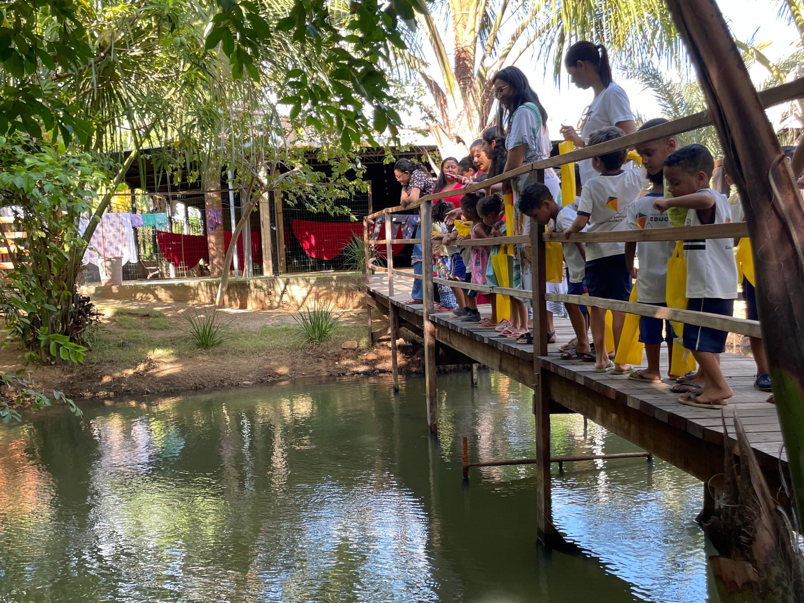 A visita incluiu a participação na oferta de alimentação aos peixes, o que permitiu às crianças interagirem com a fauna