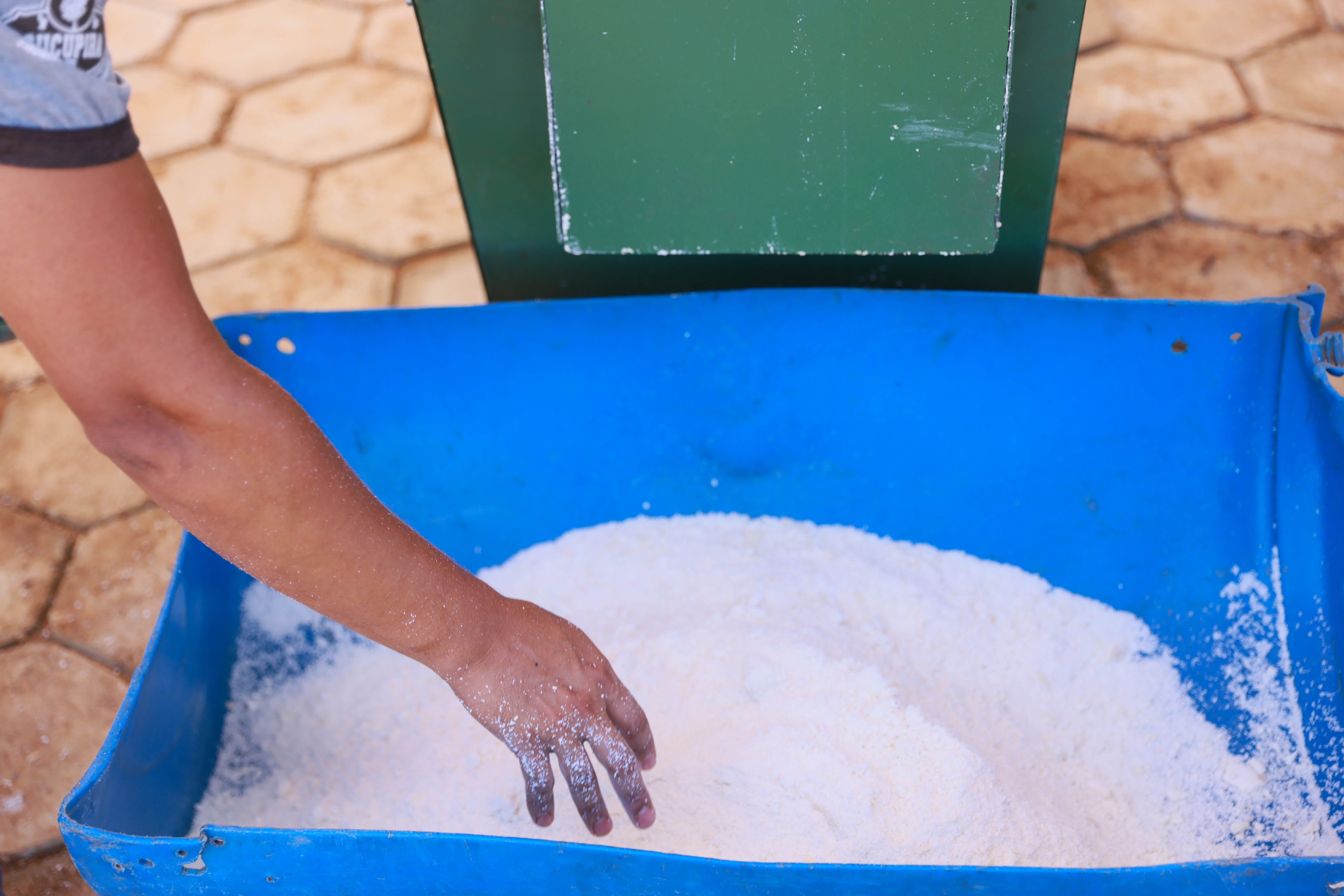 Casa da Farinha produzirá farinha do próprio banco de manivas da Fazendinha na Agrotins 2025