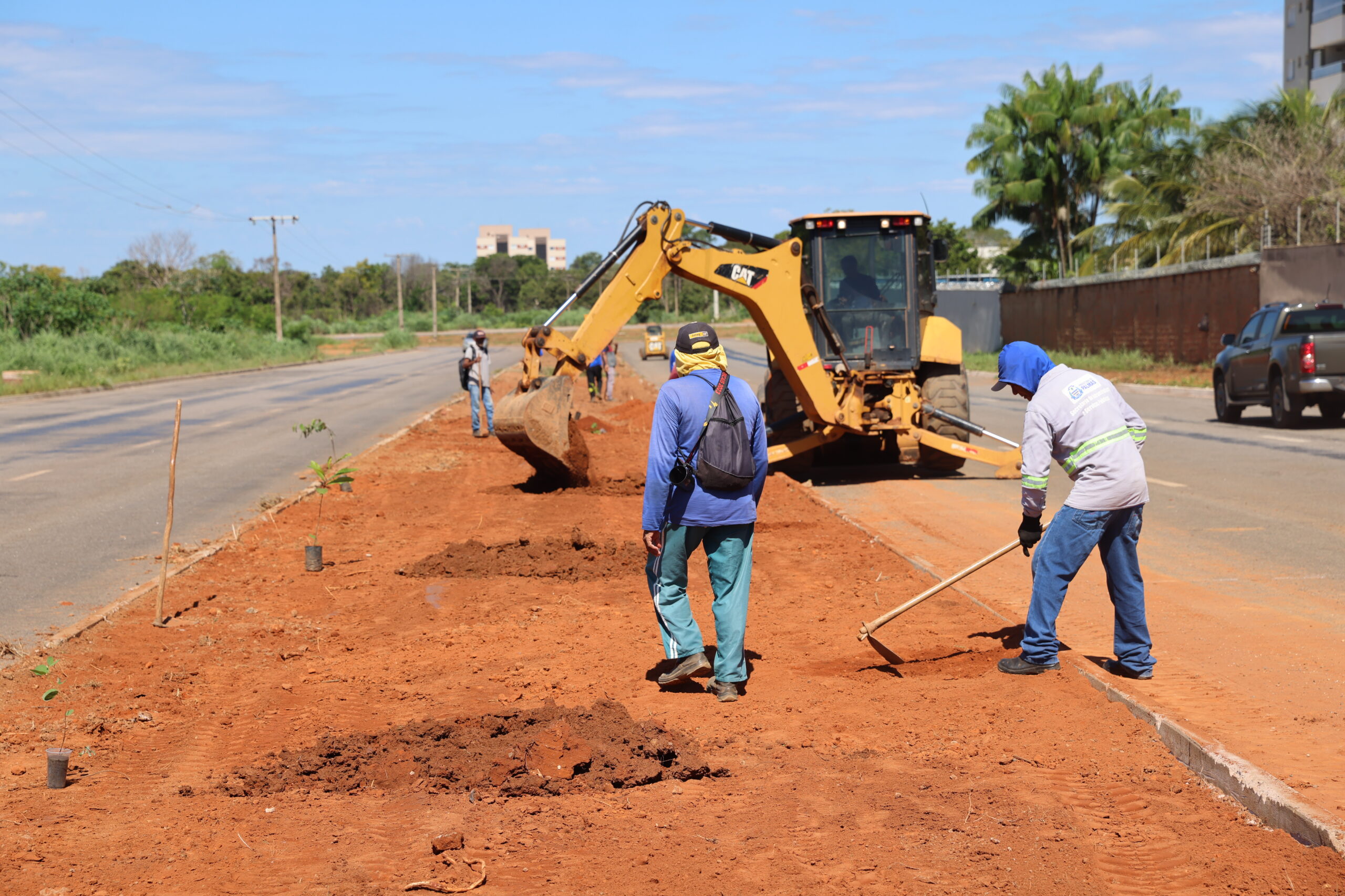 Prefeitura de Palmas transforma avenida LO-15 com paisagismo
