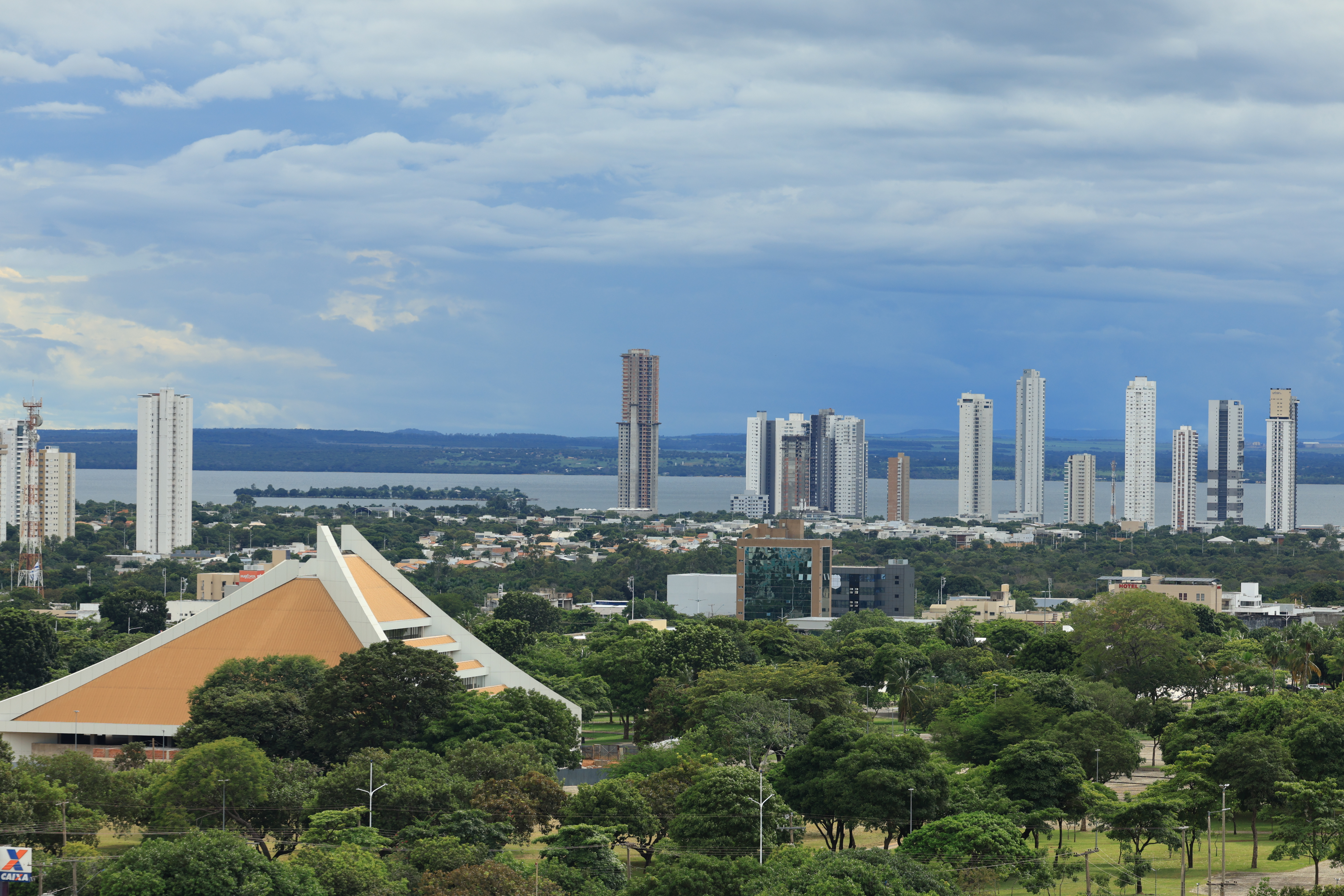 Palmas é aprovada no edital ArborizaCidades e é contemplada com cerca de R$ 2 milhões para a arborização da Capital