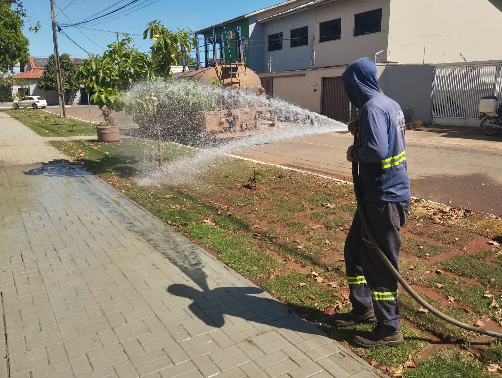 Praças da Capital recebem manutenção diária com limpeza geral e poda de árvores