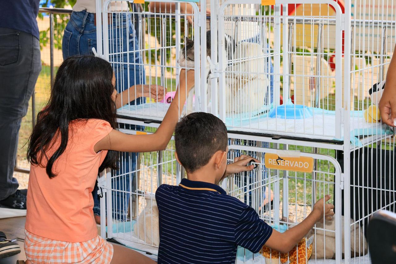 Prefeitura de Palmas realiza evento de adoção com atividades voltadas para toda a família