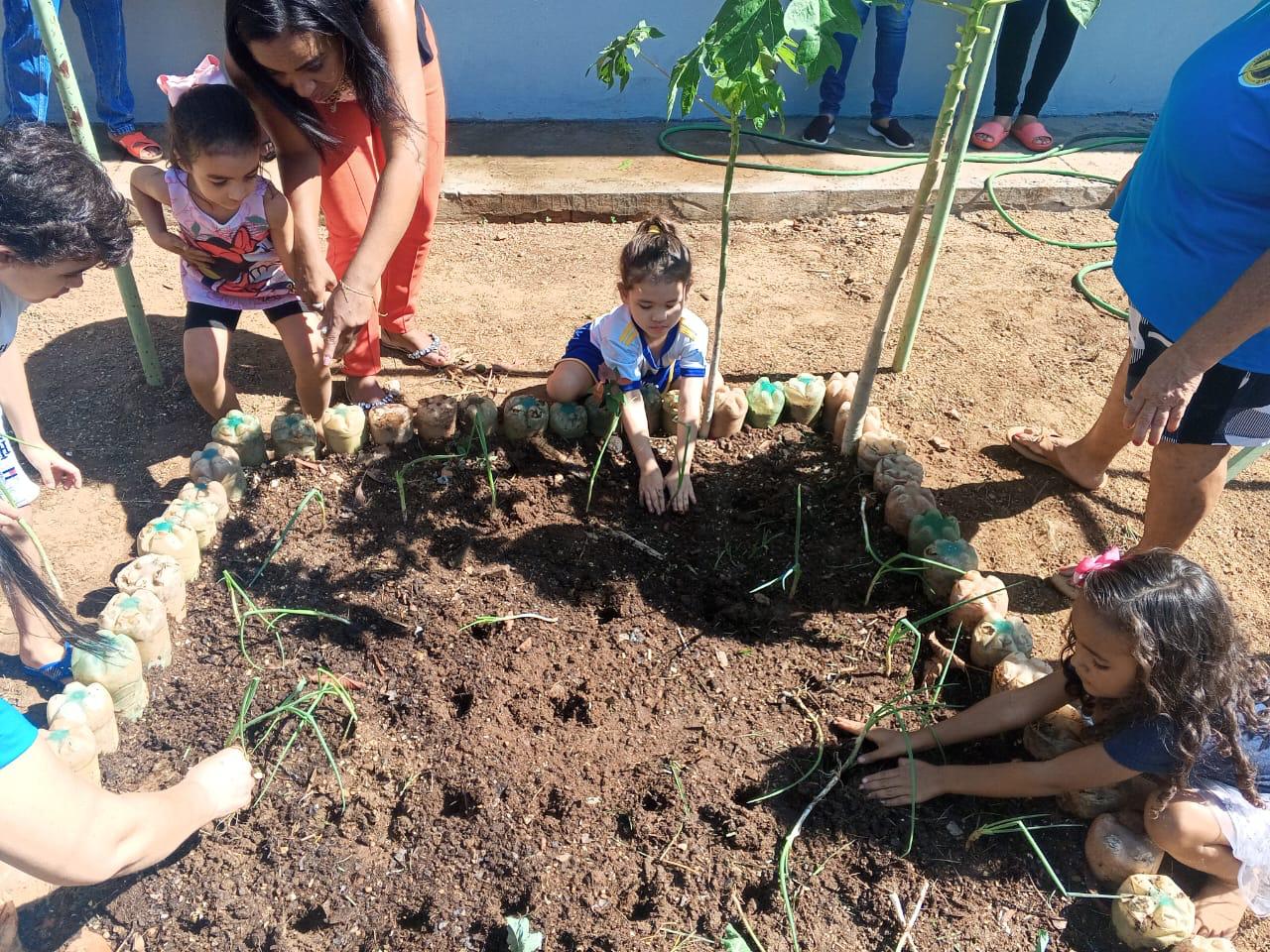 A horta funcionará como um laboratório vivo de aprendizado sobre o ciclo das plantas e o cuidado com o meio ambiente