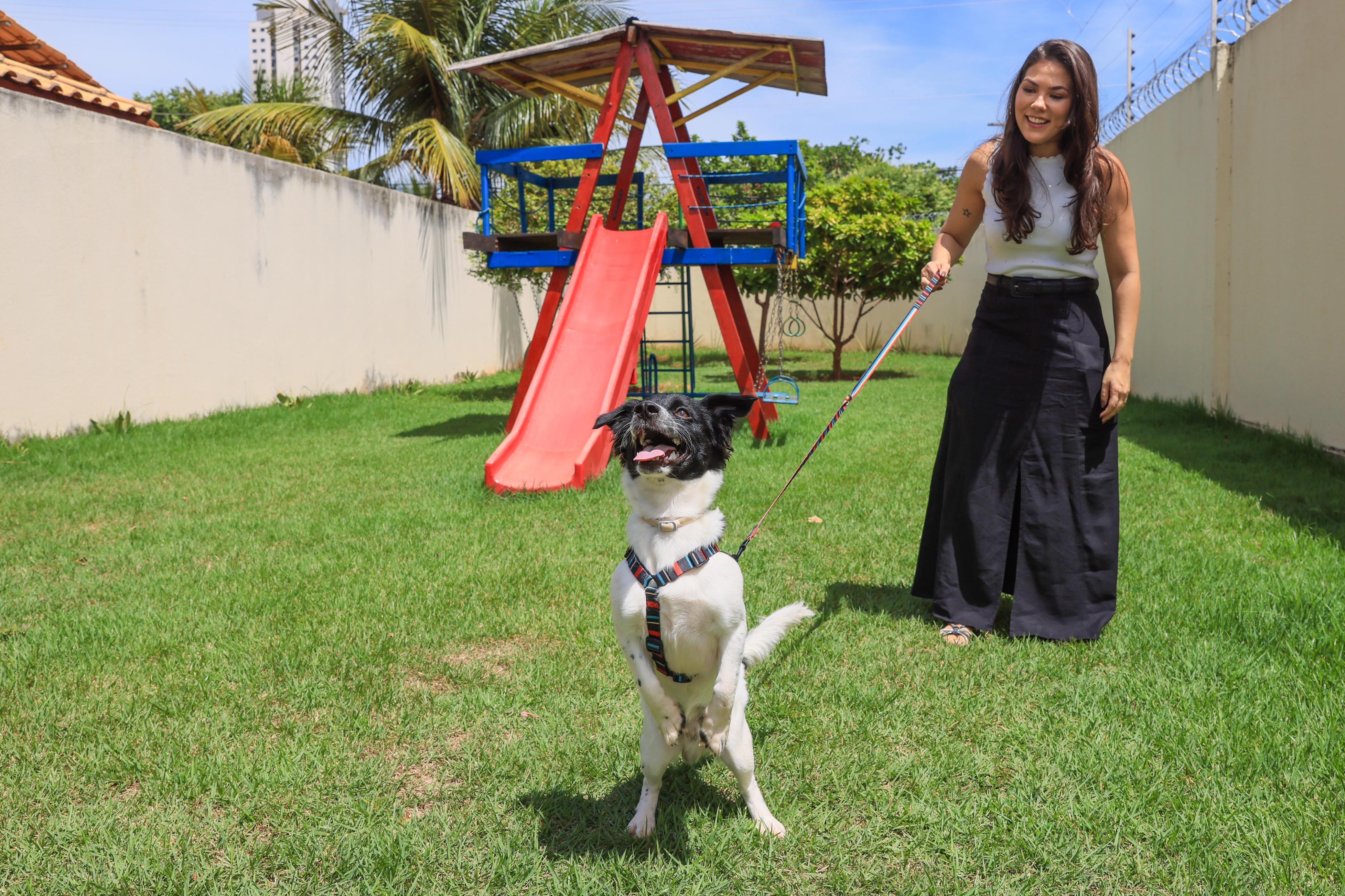 Ana Carolina Gratão adotou Lucky na 1º Feira de Adoção da Sebem realizada em março
