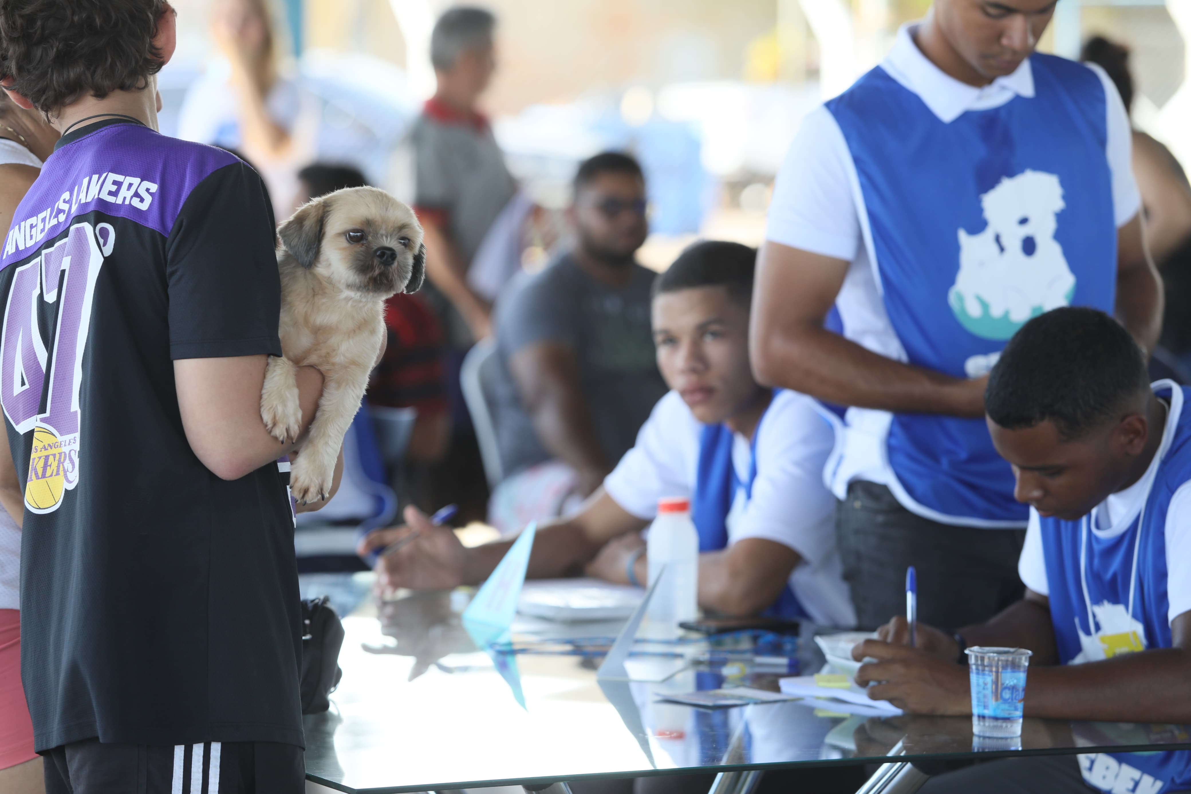 Prefeitura de Palmas realiza nova edição do Palmas Cuida + com atendimento gratuito para 350 cães