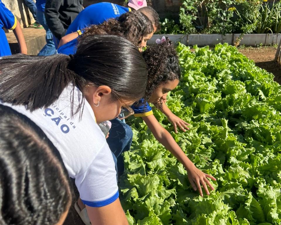 Projeto ‘Descasque Mais e Desembale Menos’ promove educação alimentar na Escola Maria Rosa de Castro Sales