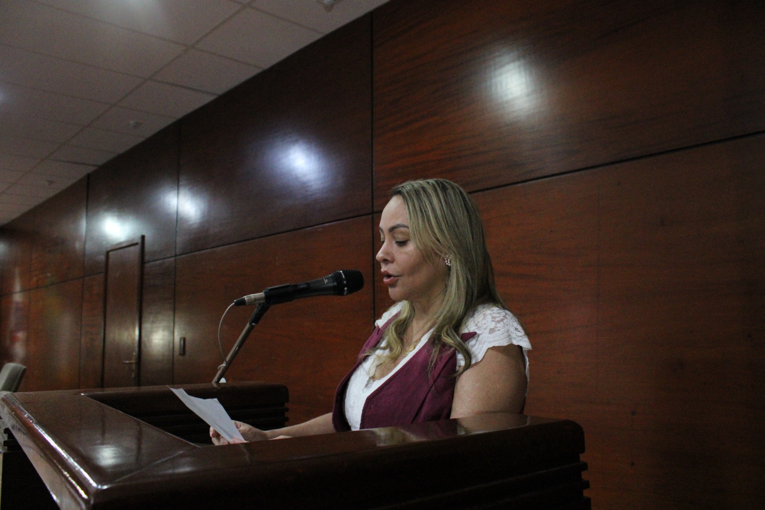 Pré-conferência da região norte reúne comunidade para discutir desafios e propostas para a saúde em Palmas
