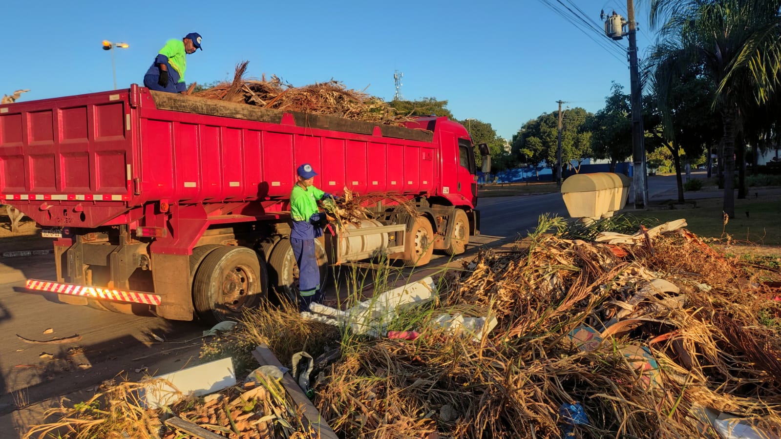 Prefeitura de Palmas conclui coleta de galhadas na região norte da cidade com 1.400 toneladas de resíduos recolhidos