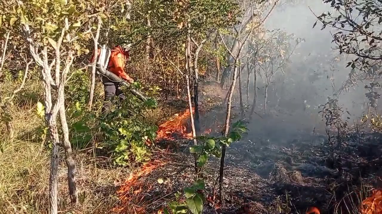 Incêndio florestal em Taquaruçu mobiliza Defesa Civil que alerta para cuidados durante período de estiagem