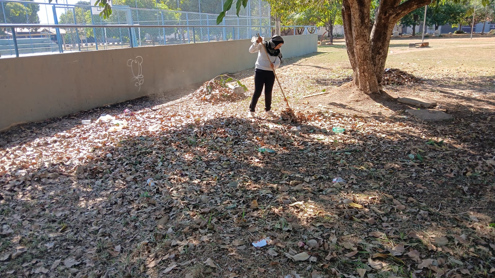 Folhas secas podem ser transformadas em adubo por meio da compostagem