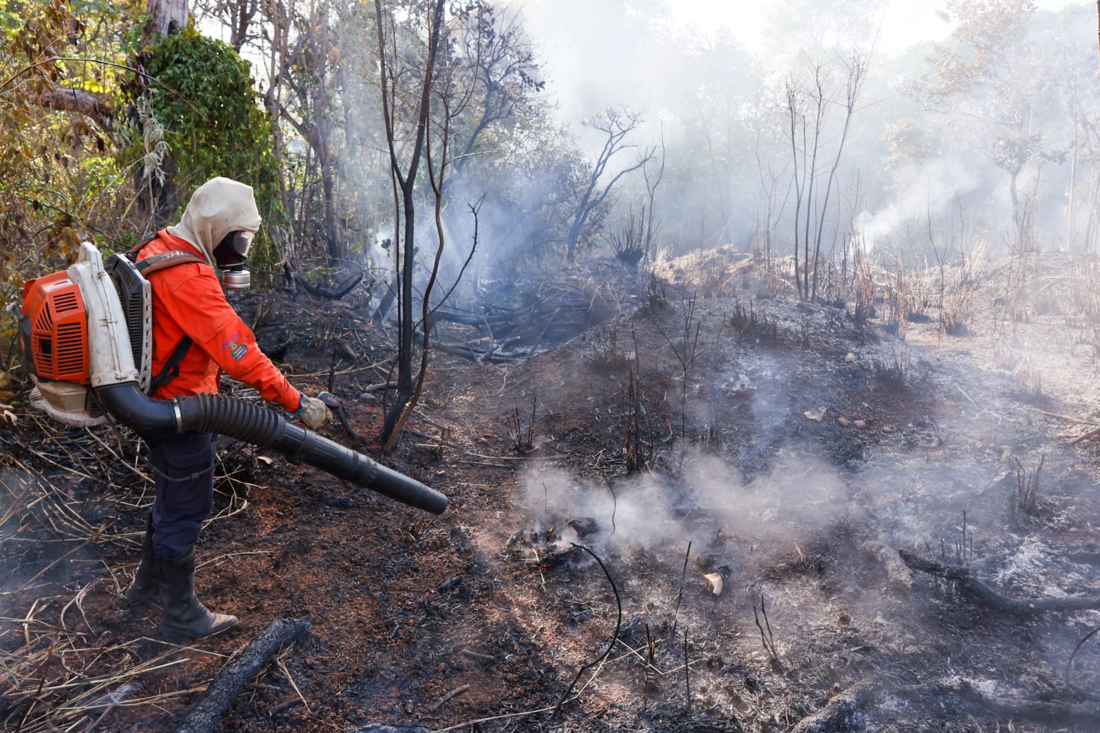 Defesa Civil atua no combate a incêndio de grande proporção na região norte de Palmas