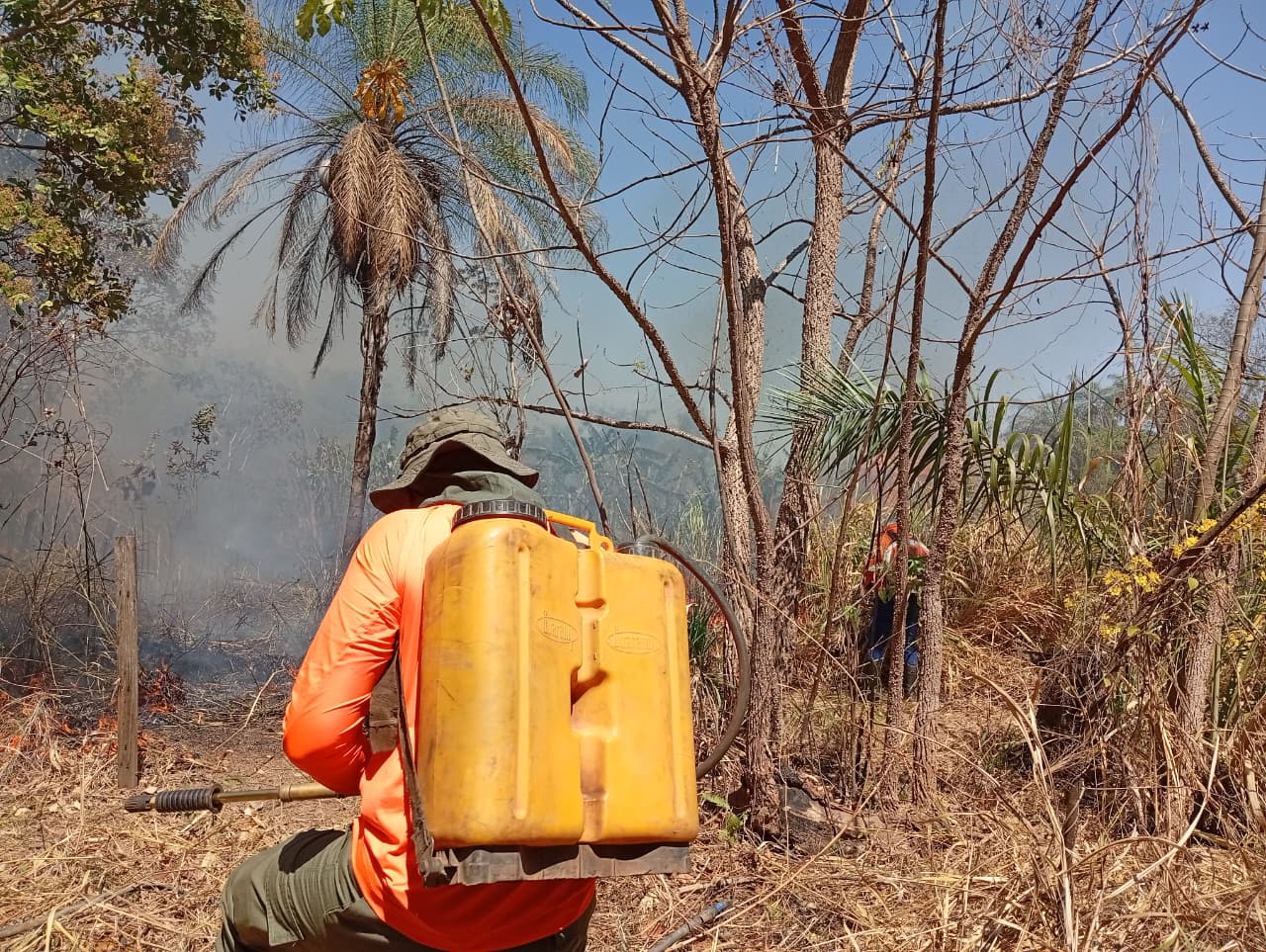 Fogo consumiu grande parte da vegetação da Vila Agrotins e da zona rural do Jardim  Taquari
