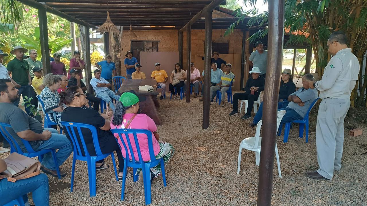 Pequenos produtores de Palmas recebem capacitação e manivas de mandioca produzidas na Fazendinha