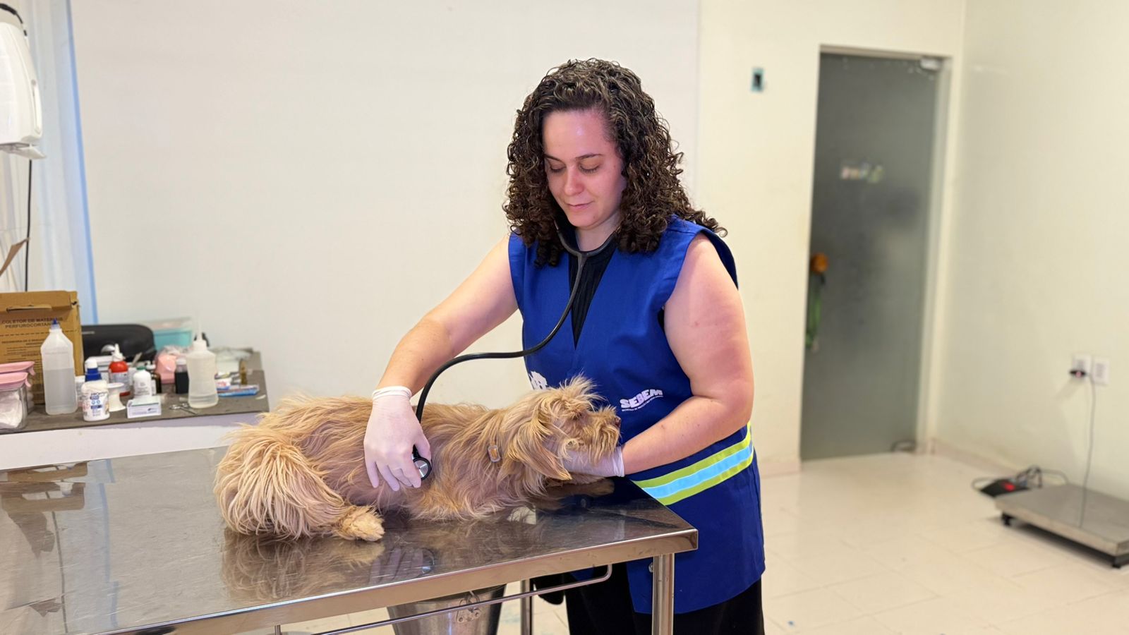 Foram 2.640 castrações e 4.000 microchipagens ao longo do ano, distribuídas entre Castramóvel, mutirões e ações educativas territoriais