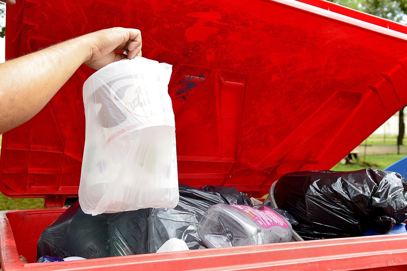 População já pode acessar consulta pública sobre uso de contêineres na coleta de resíduos domiciliares em Palmas