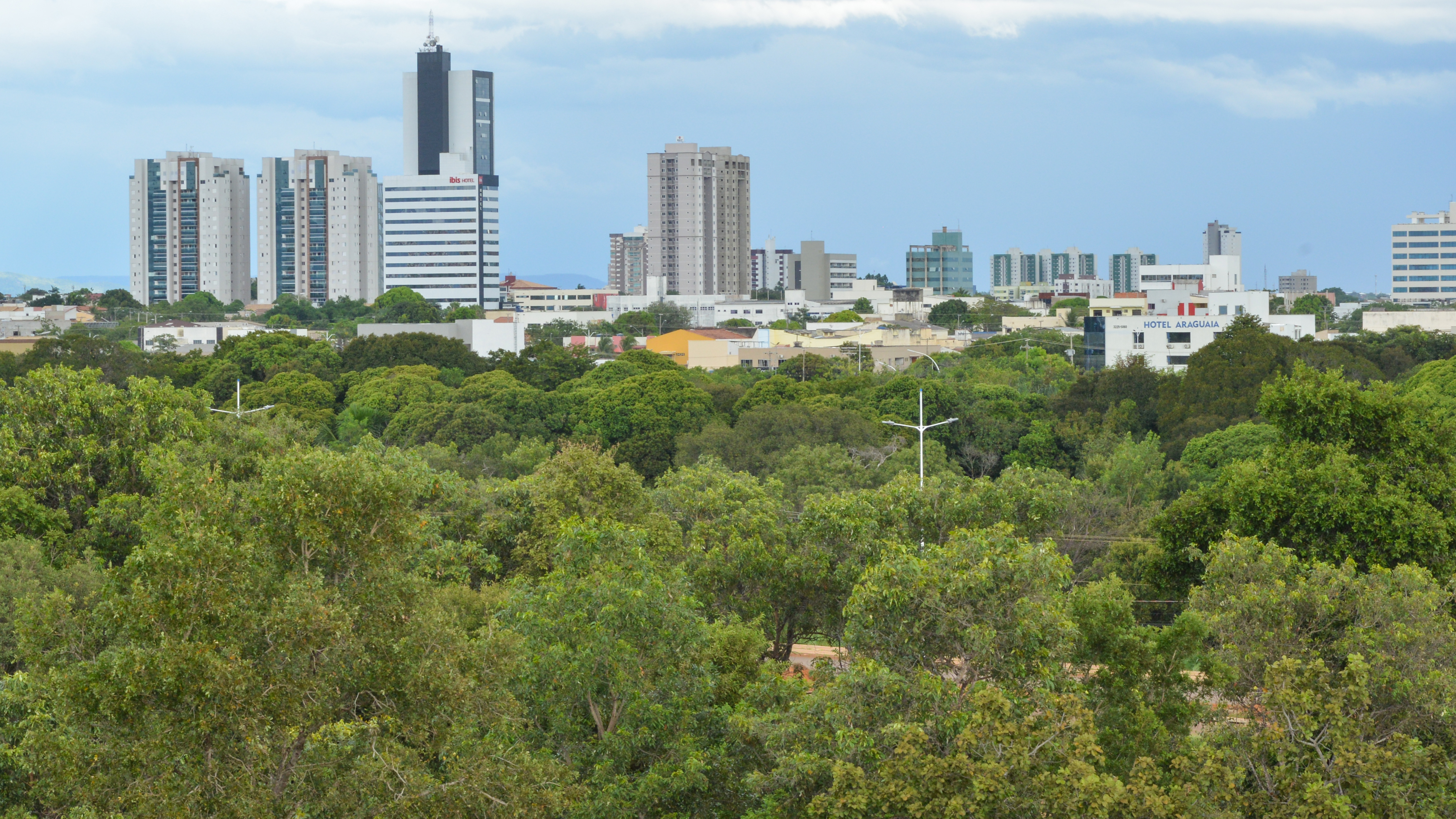 Decreto institui Programa Municipal de Conversão de Multas Ambientais