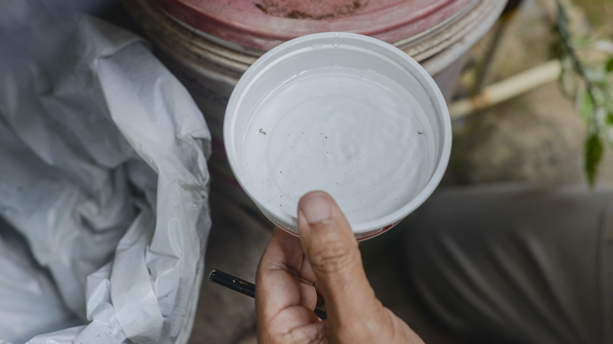População deve manter cuidados com limpeza de imóveis para eliminação dos focos do Aedes aegypti