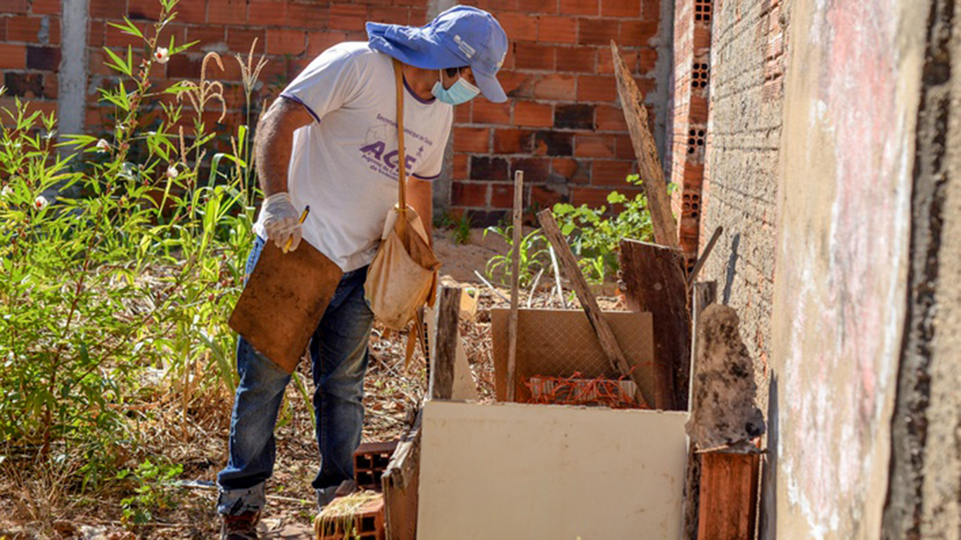 Em Palmas, mais de 76% dos focos do Aedes aegypti estão dentro das residências