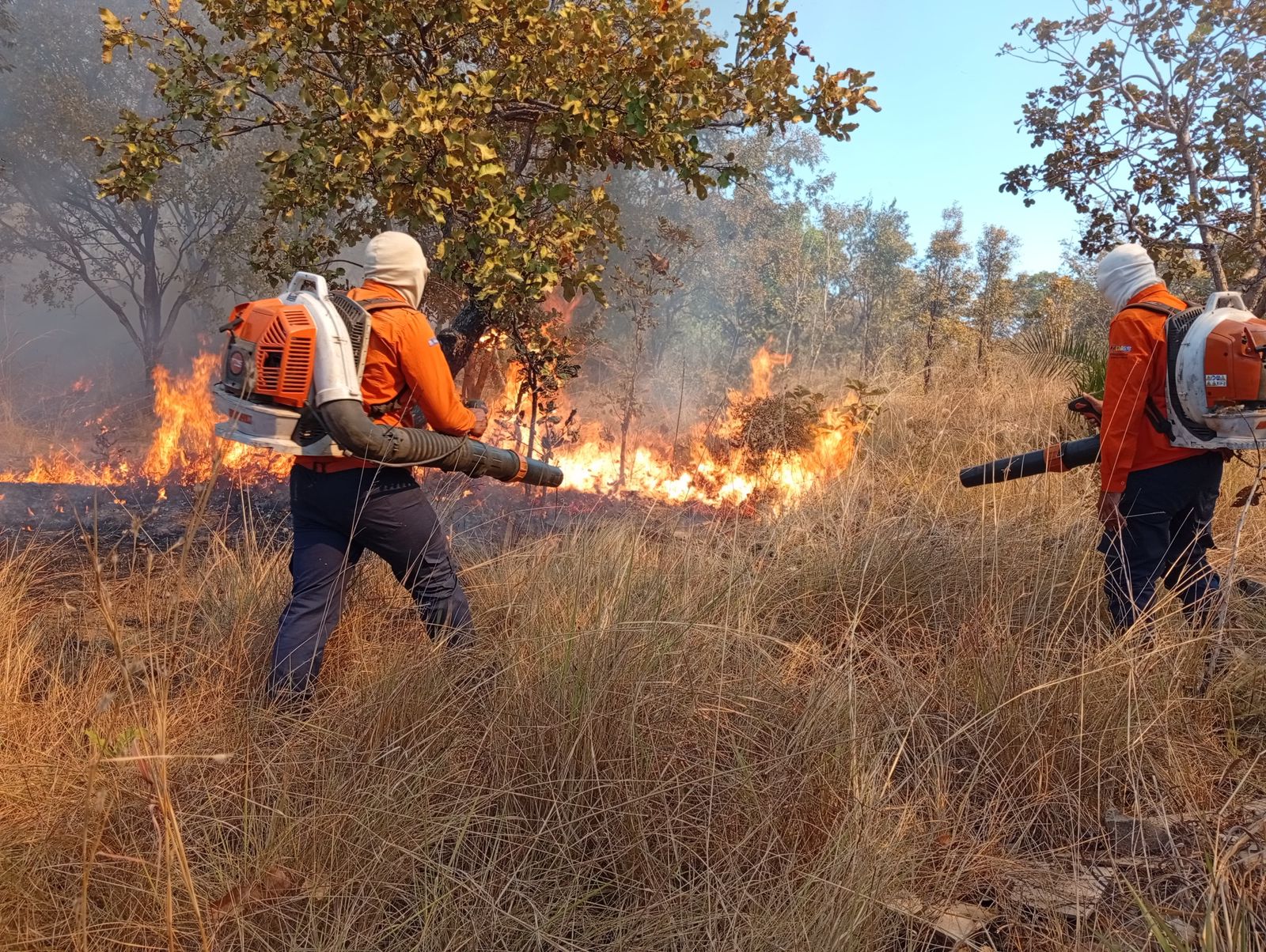 Brigadistas em combate a foco de incêndio na região sul da Capital