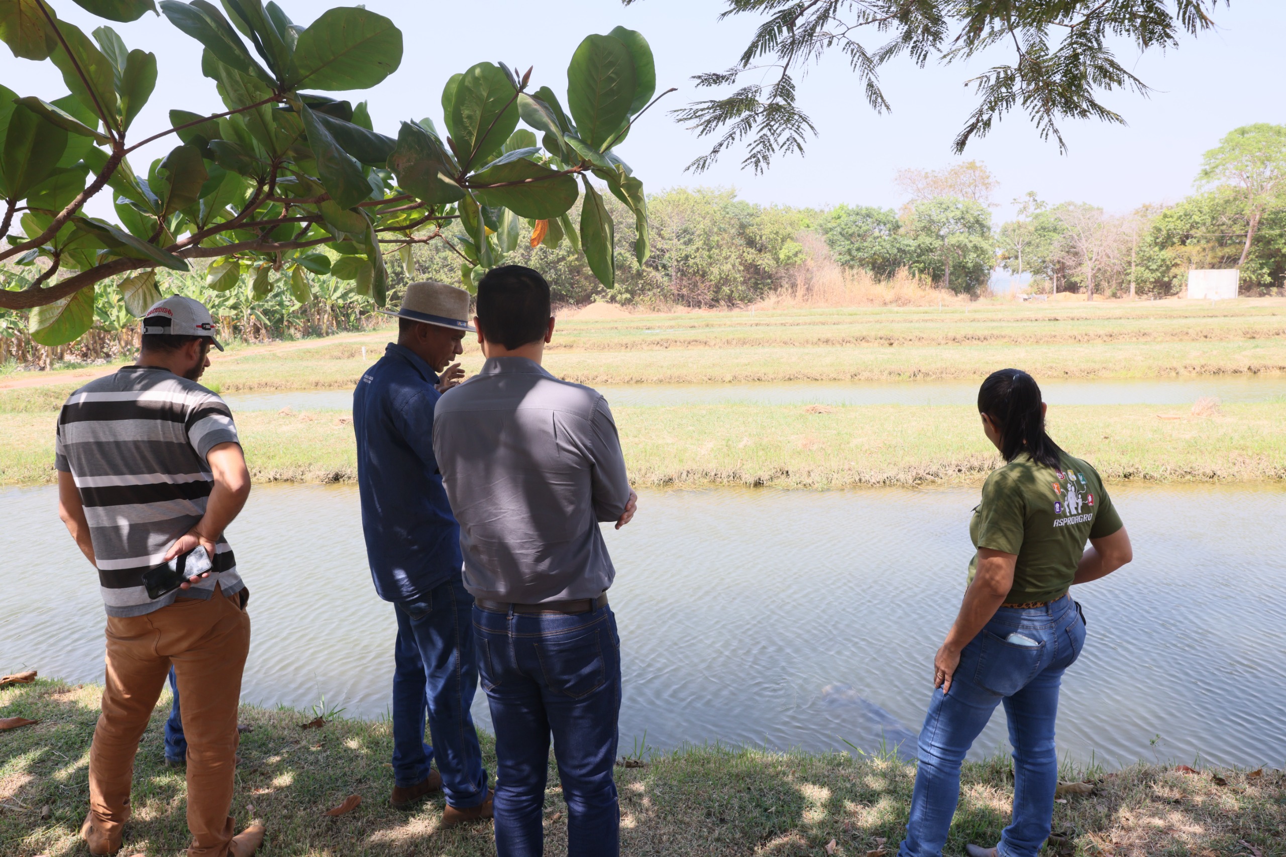 Gerente do Basa e representantes dos pequenos agricultores de Palmas conhecem produção de peixe na Fazendinha da Vila Agrotins