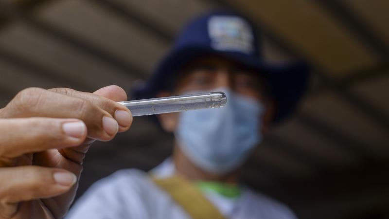 Semus inicia sexta-feira, 11, programação de reforço ao combate à dengue no período de chuvas